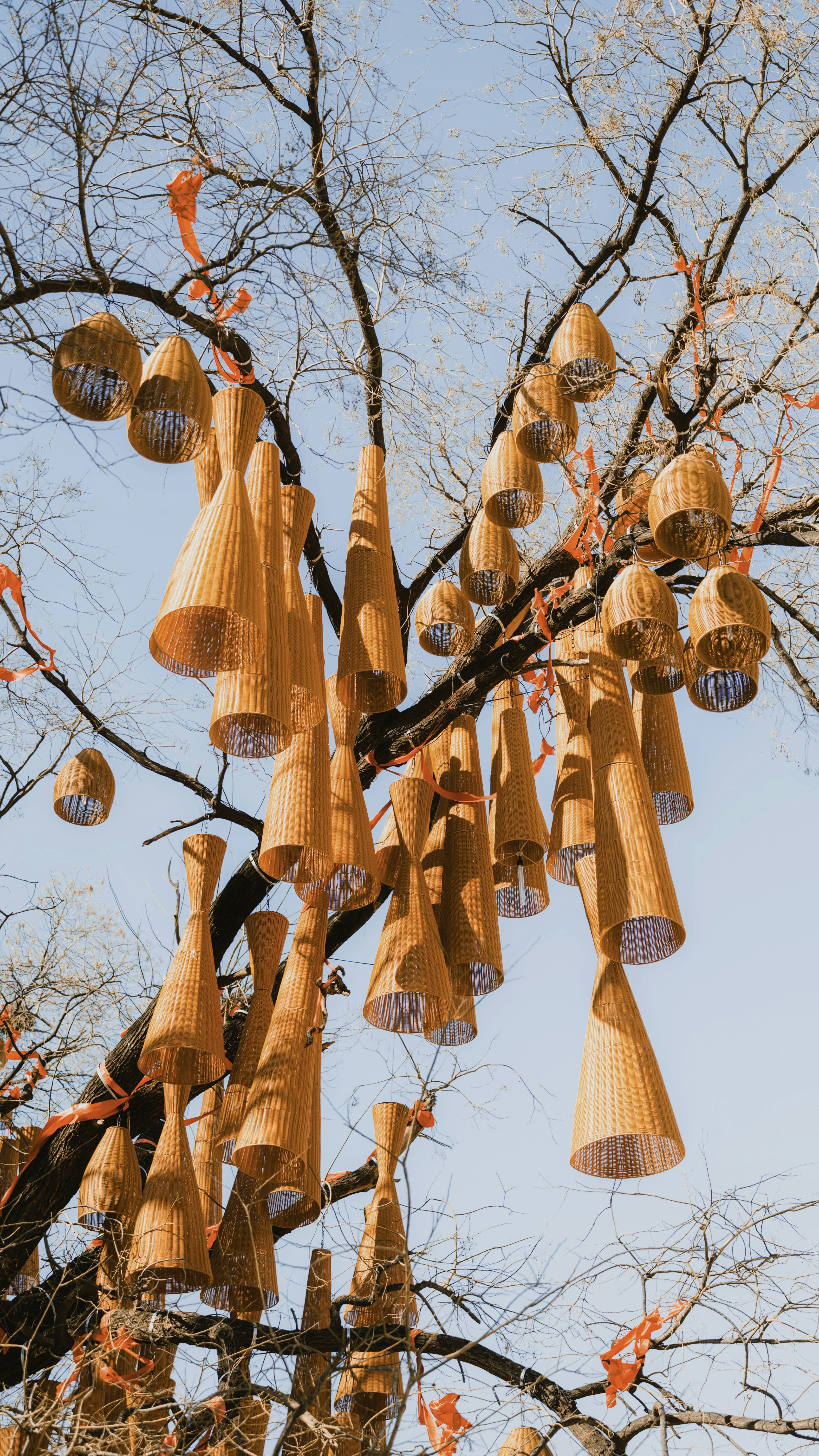 Photo by wangbinghua