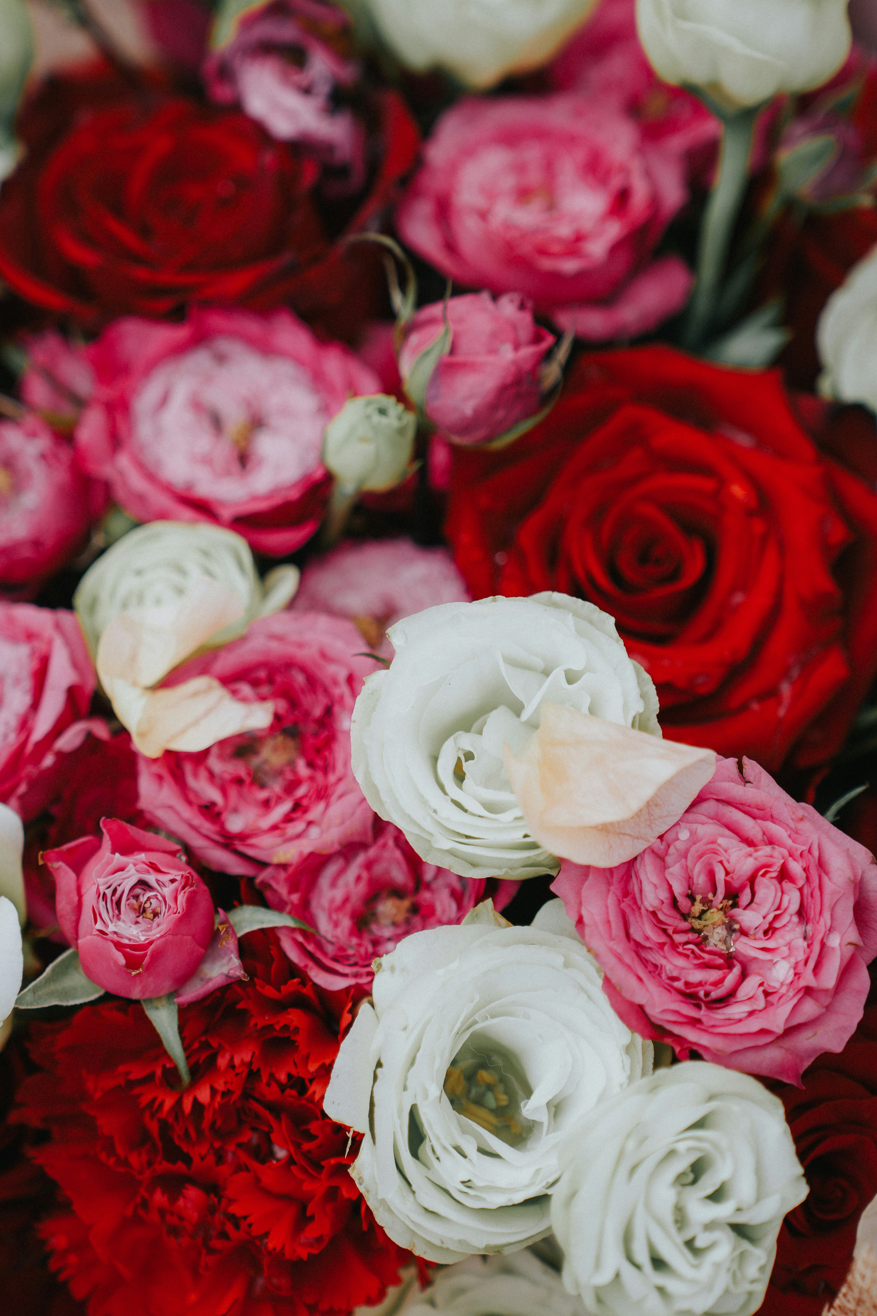 Photo by hoianphotographer