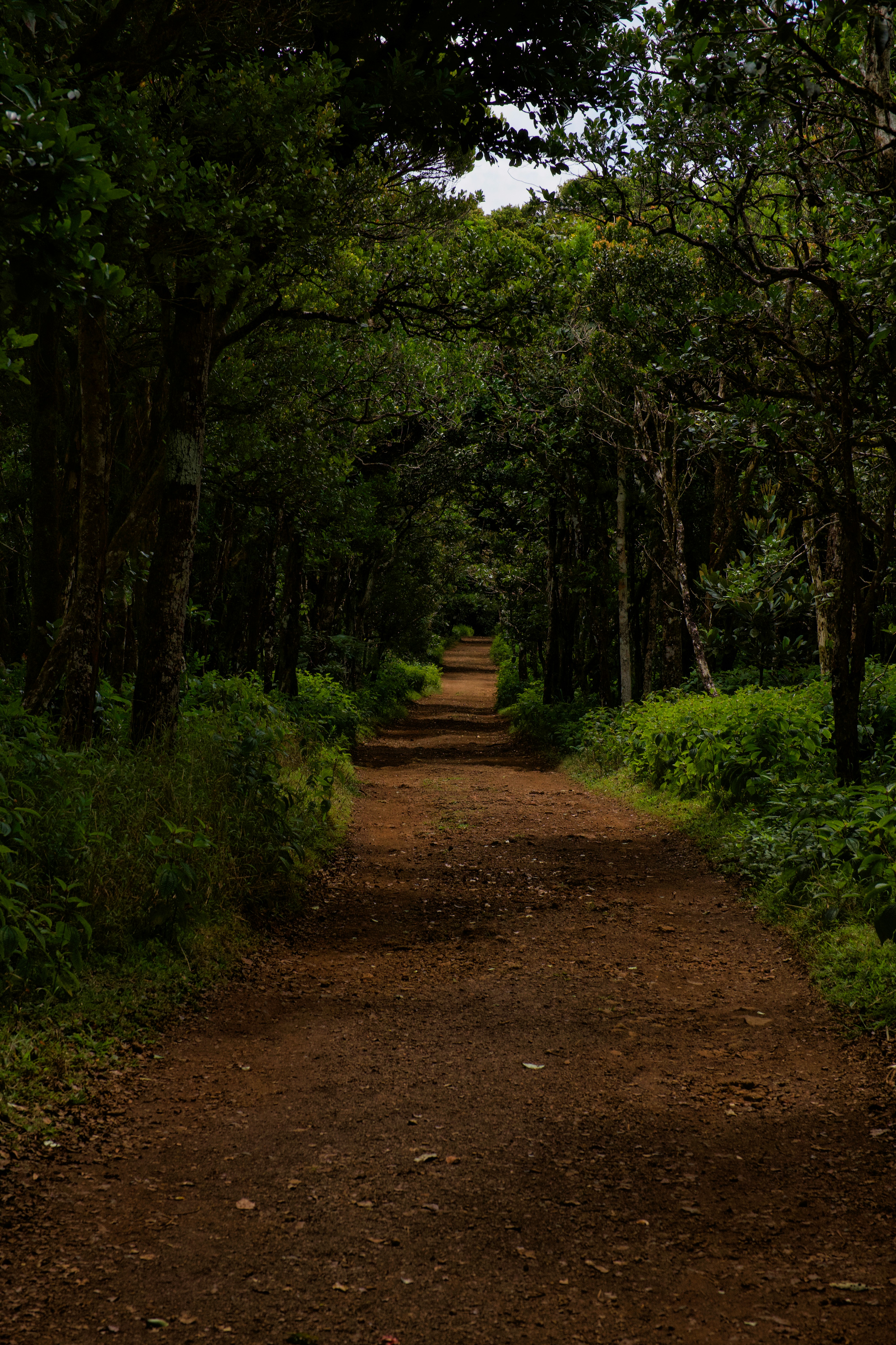 Photo by marcel_z0211