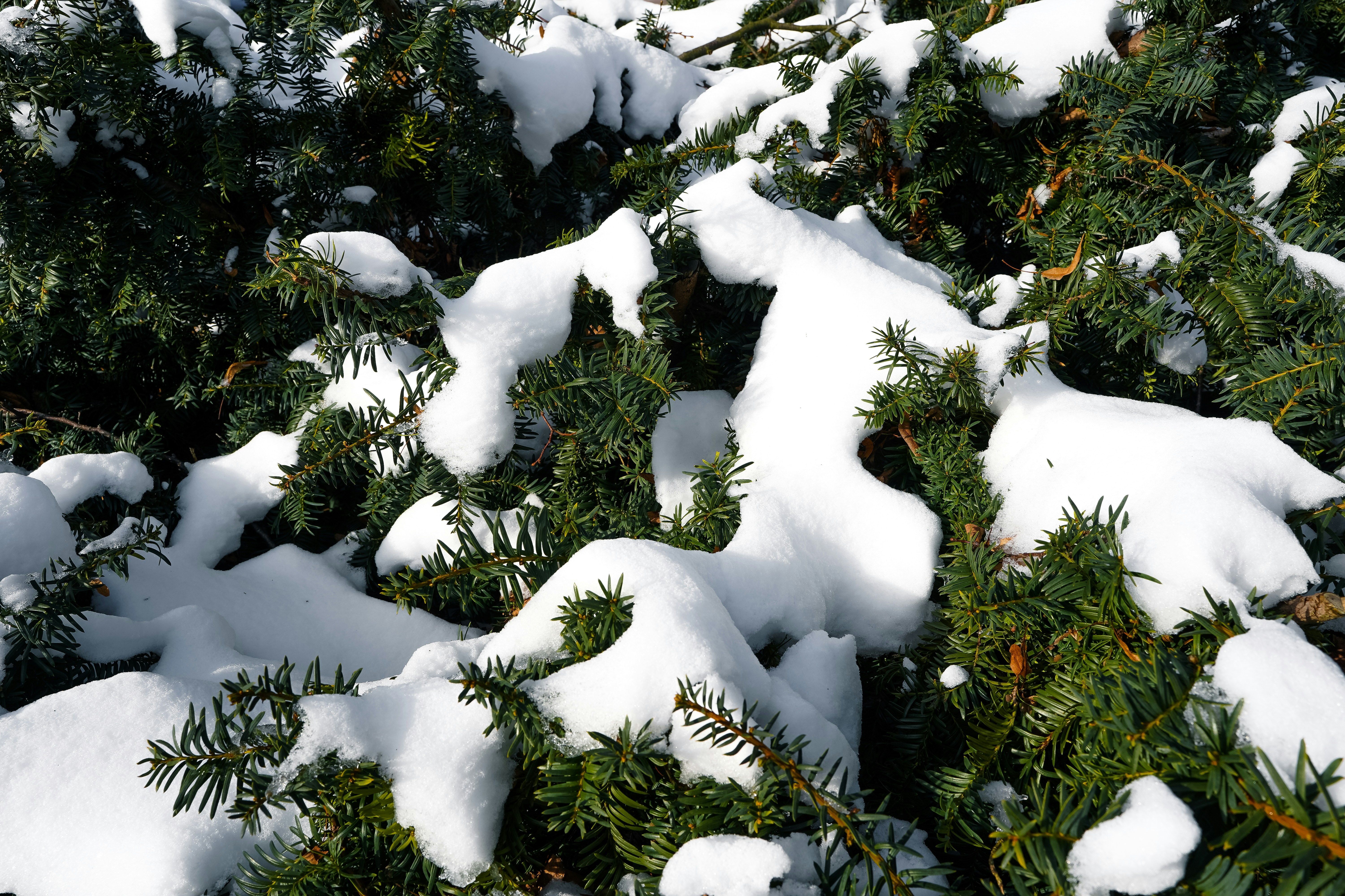 Photo by hamburgmeinefreundin