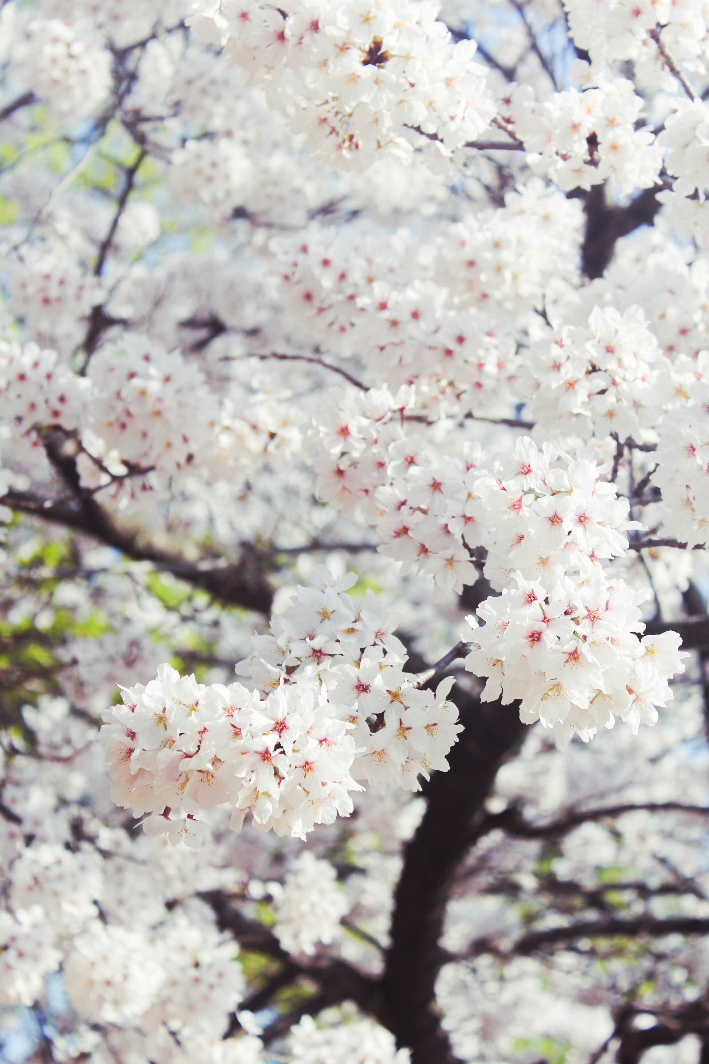 Photo by cuitt