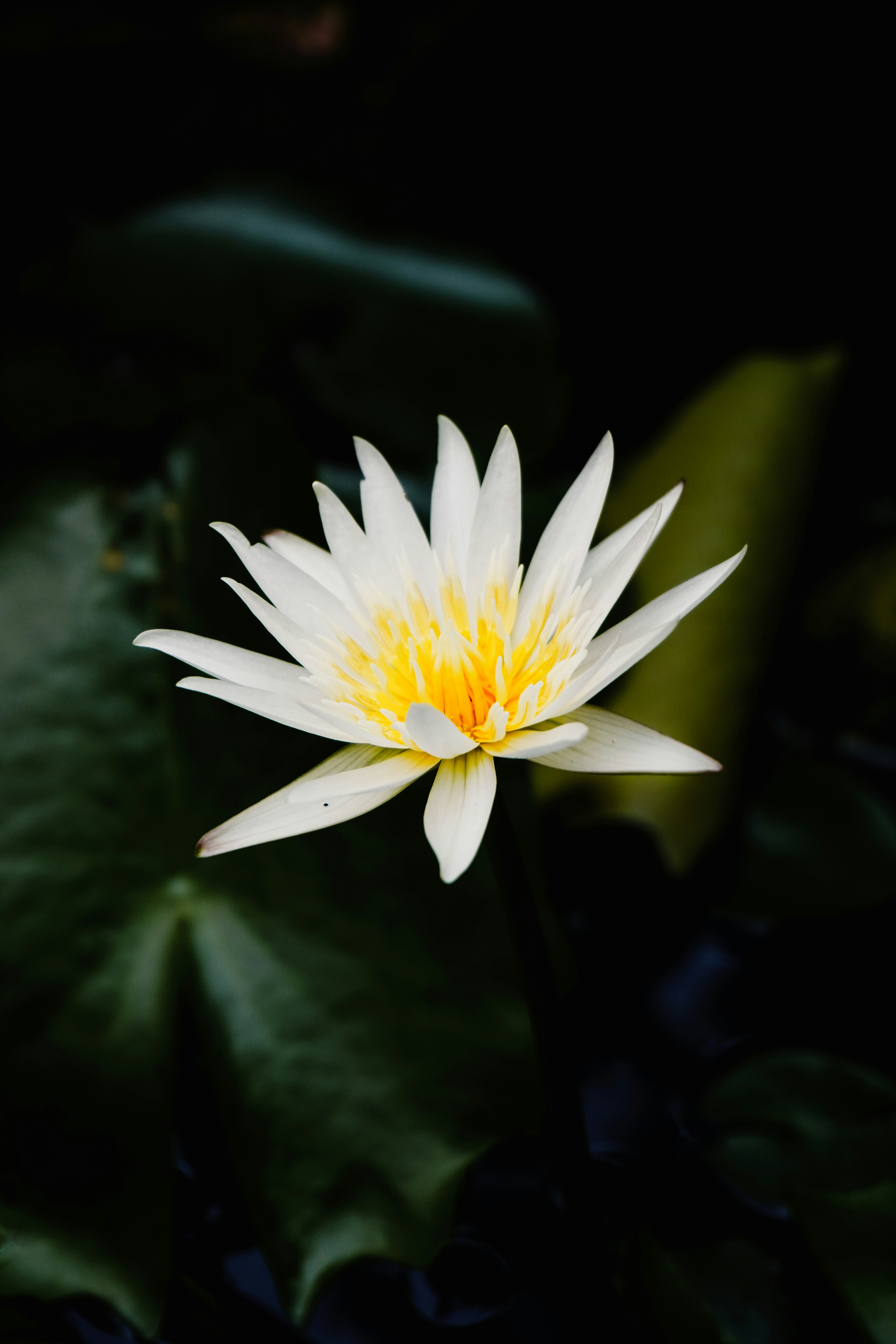 Photo by adhitya_2505