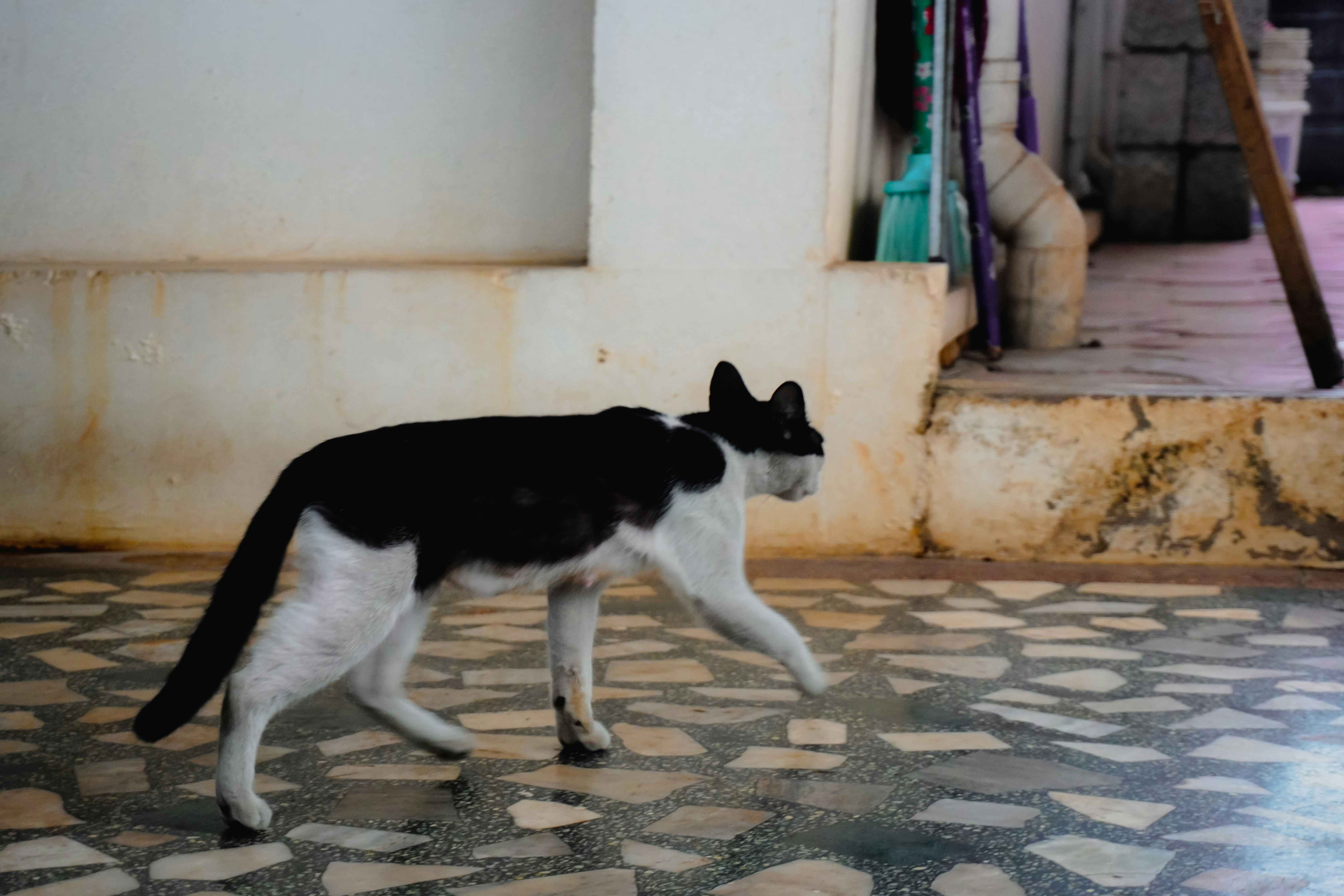 Photo by adhitya_2505