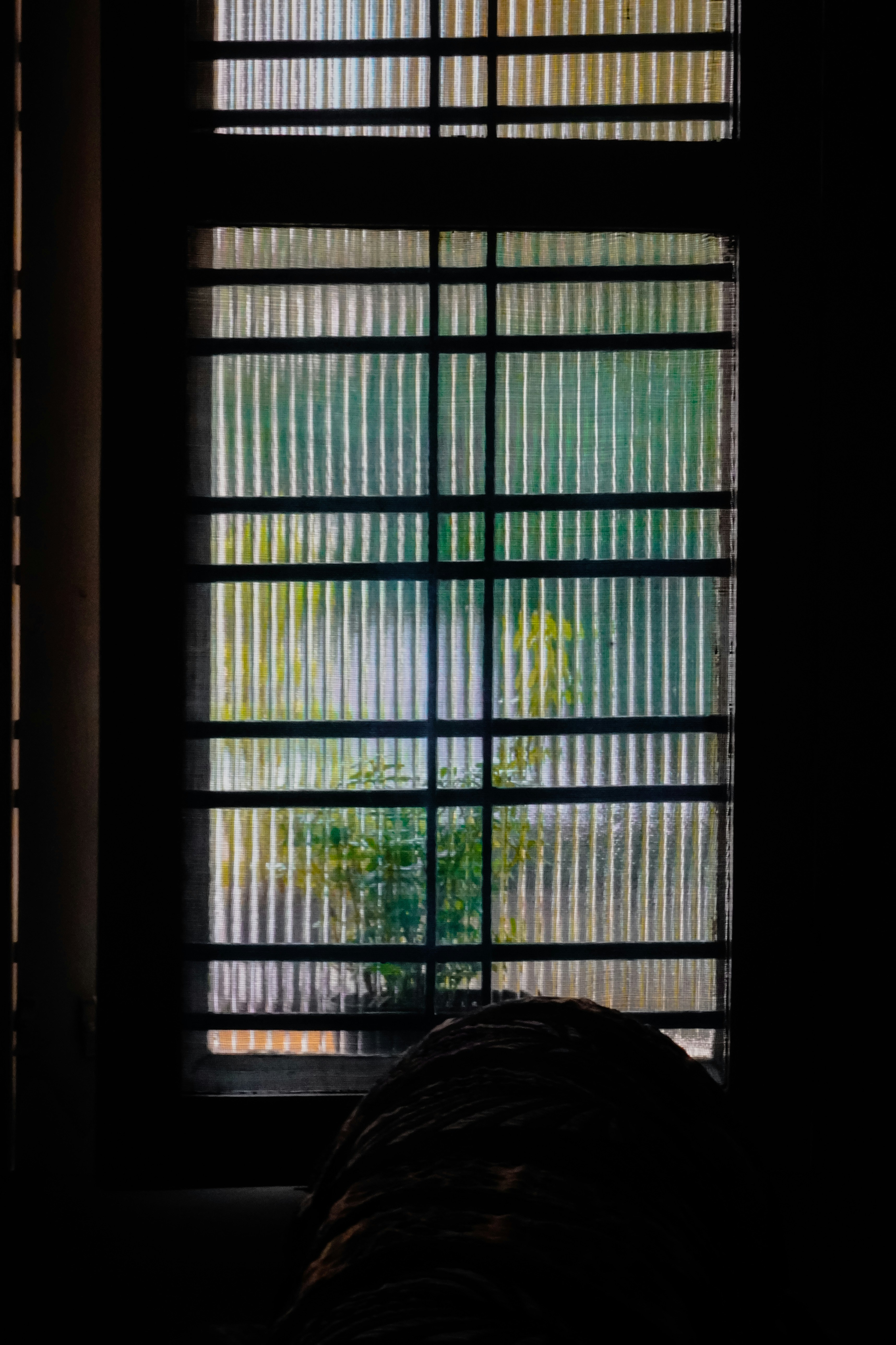 Photo by adhitya_2505