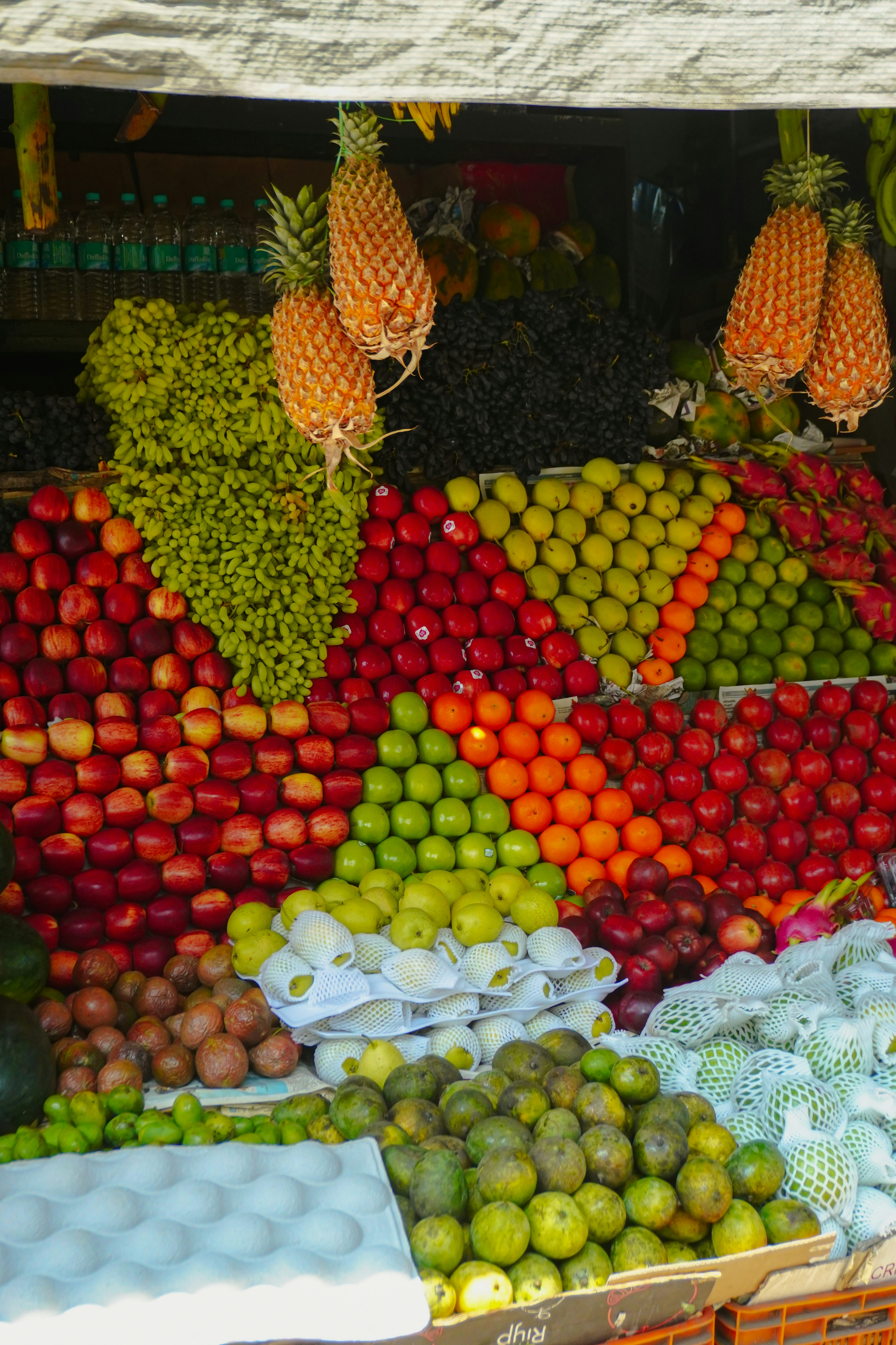 Photo by adhitya_2505