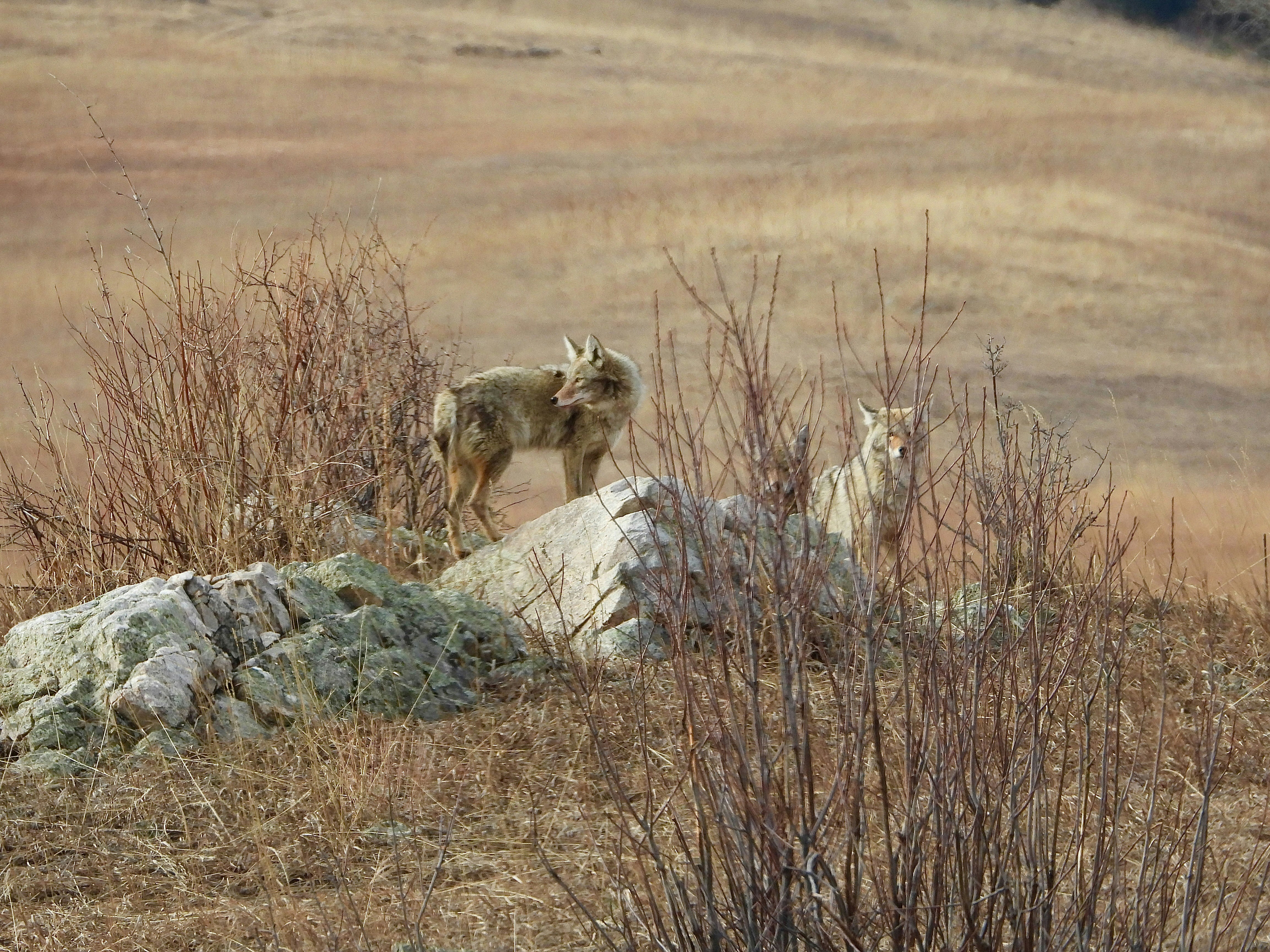 Photo by evergreene24