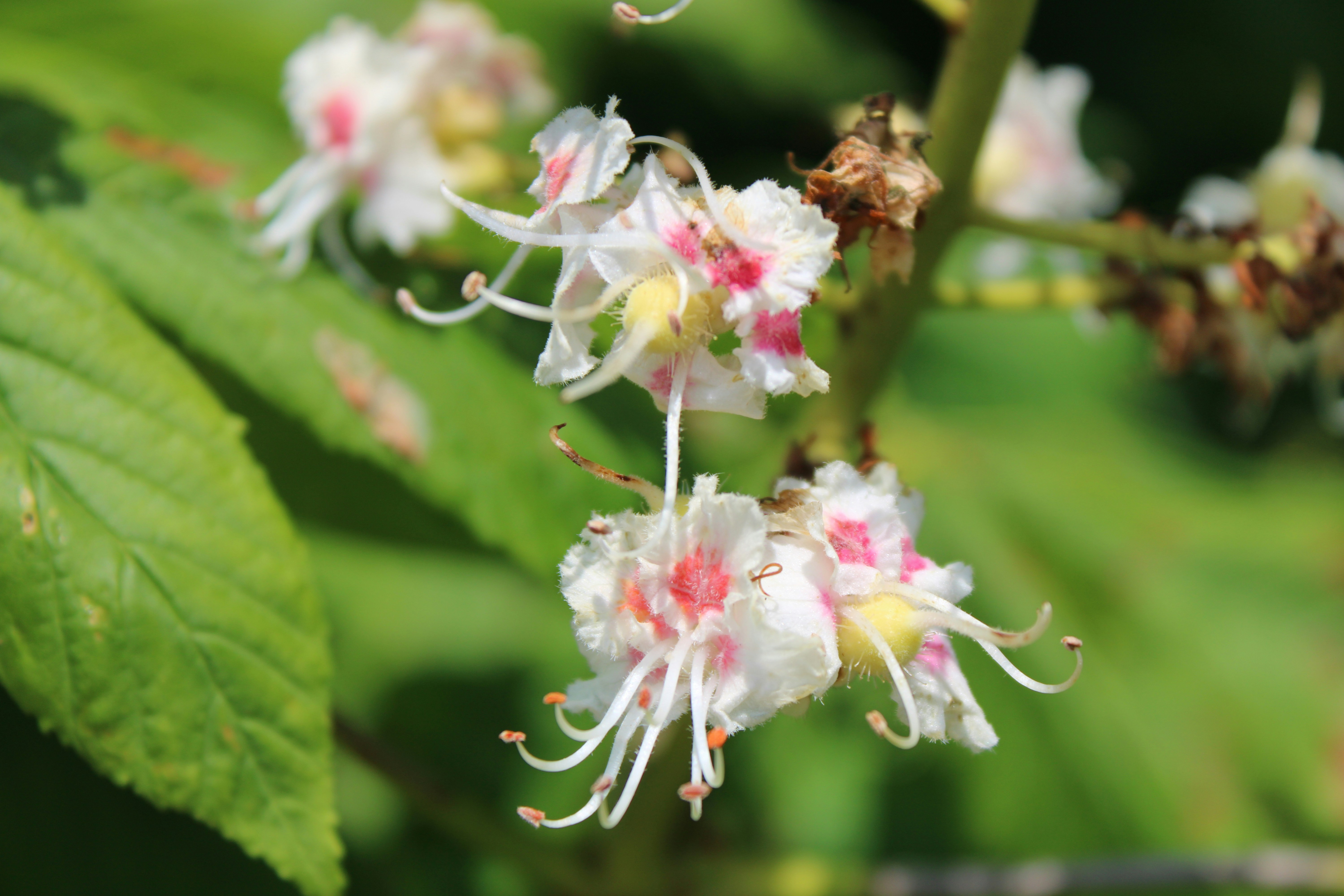 Photo by eastcoastsmc