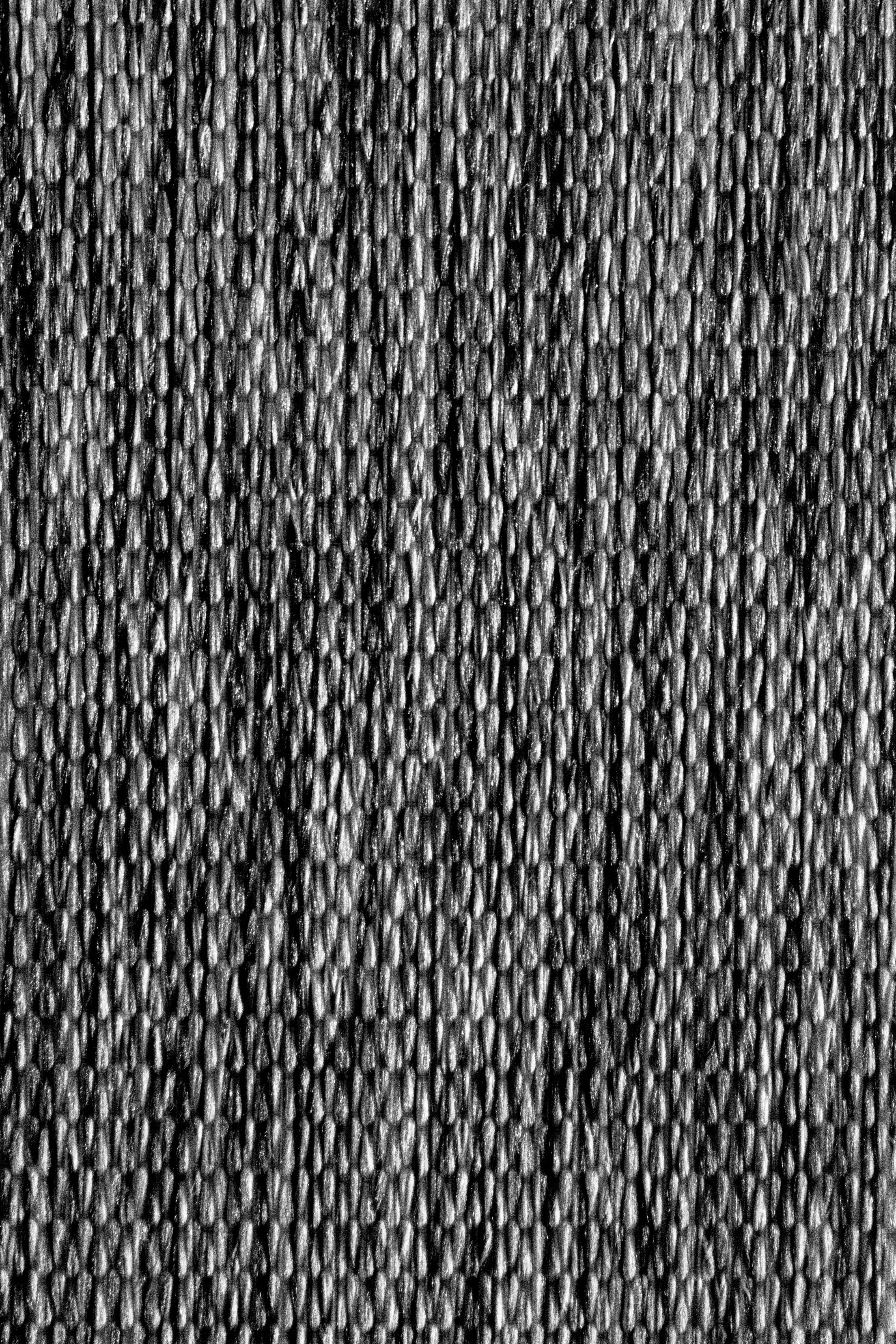 Photo by vadym_alyekseyenko