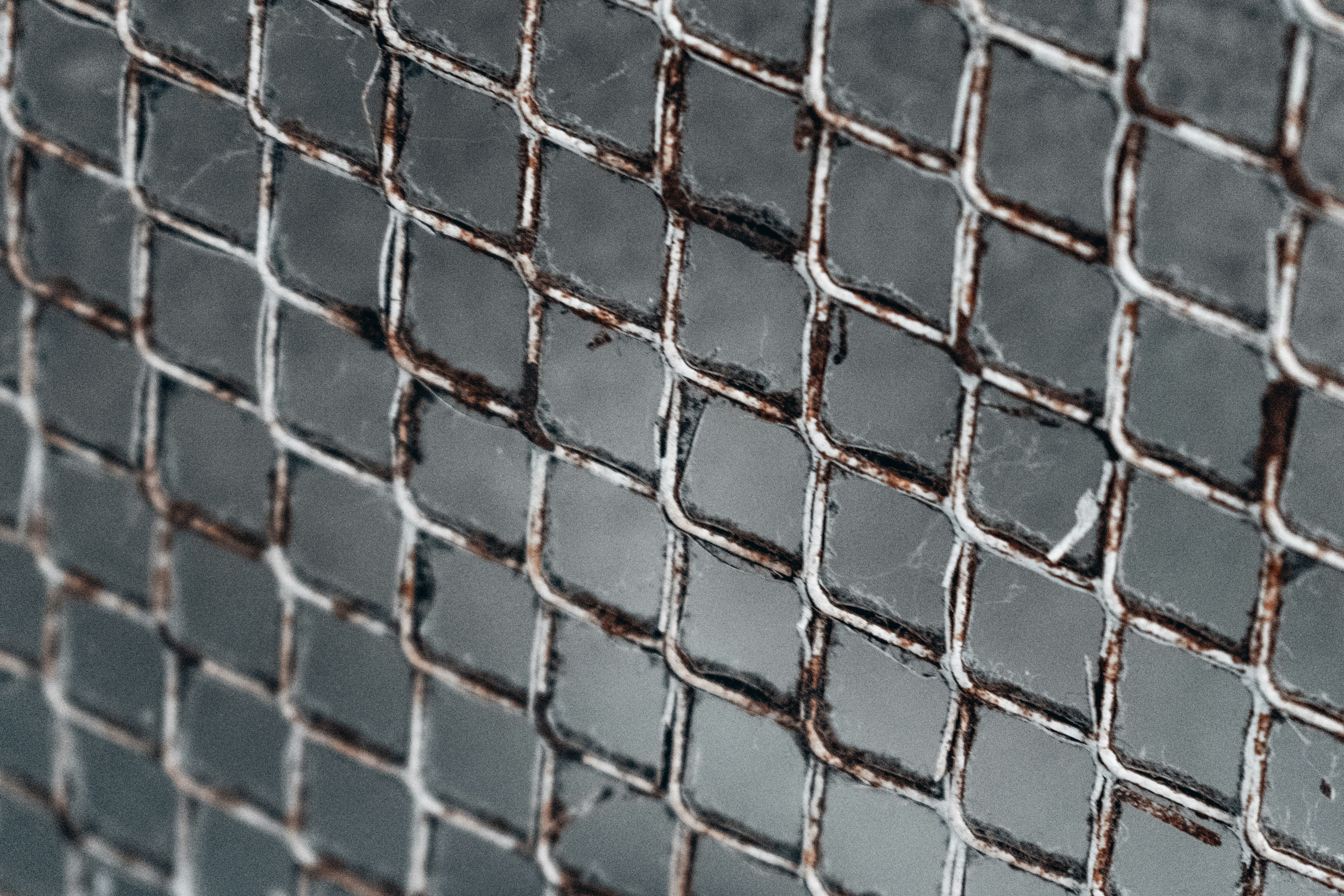 Photo by vadym_alyekseyenko