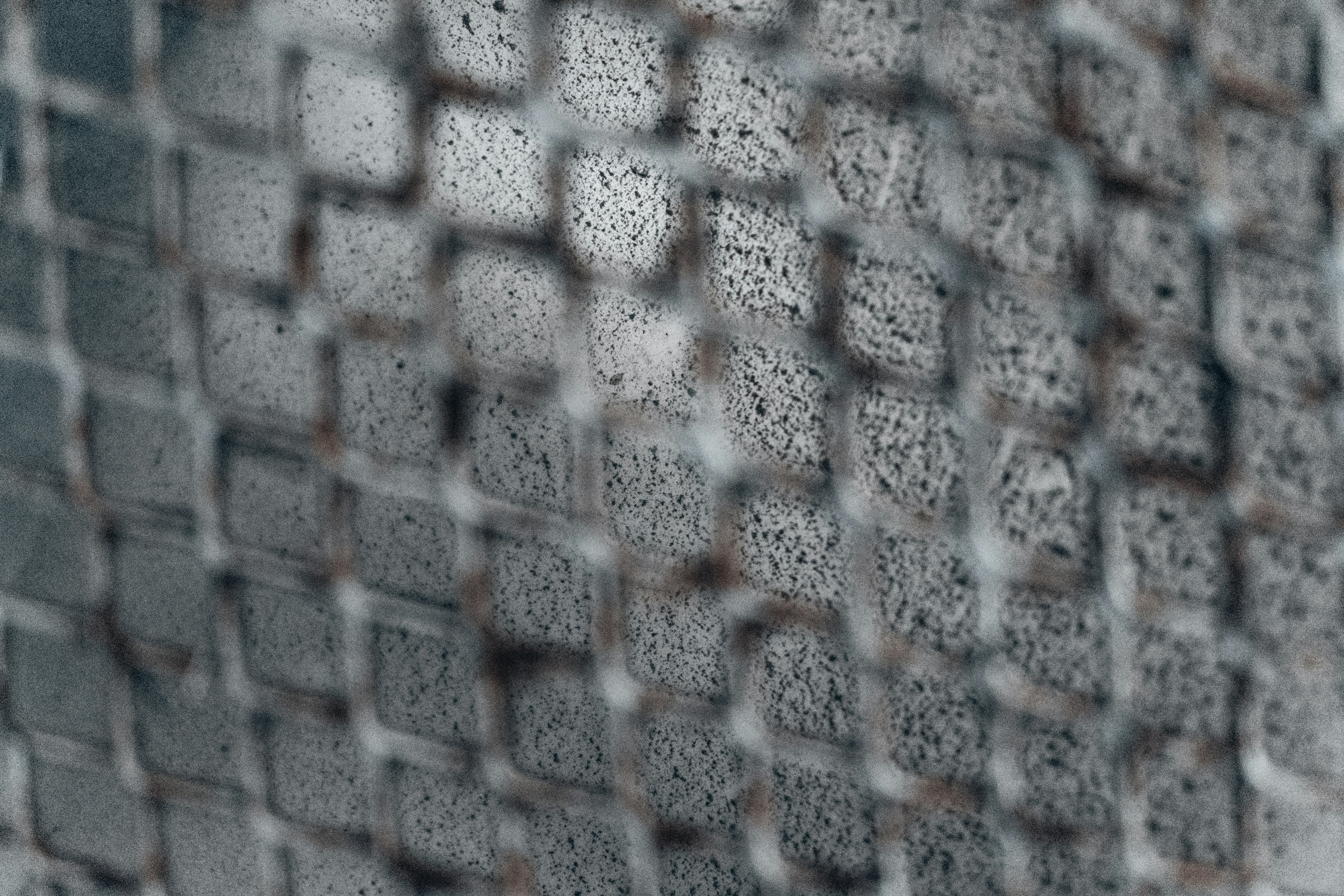 Photo by vadym_alyekseyenko