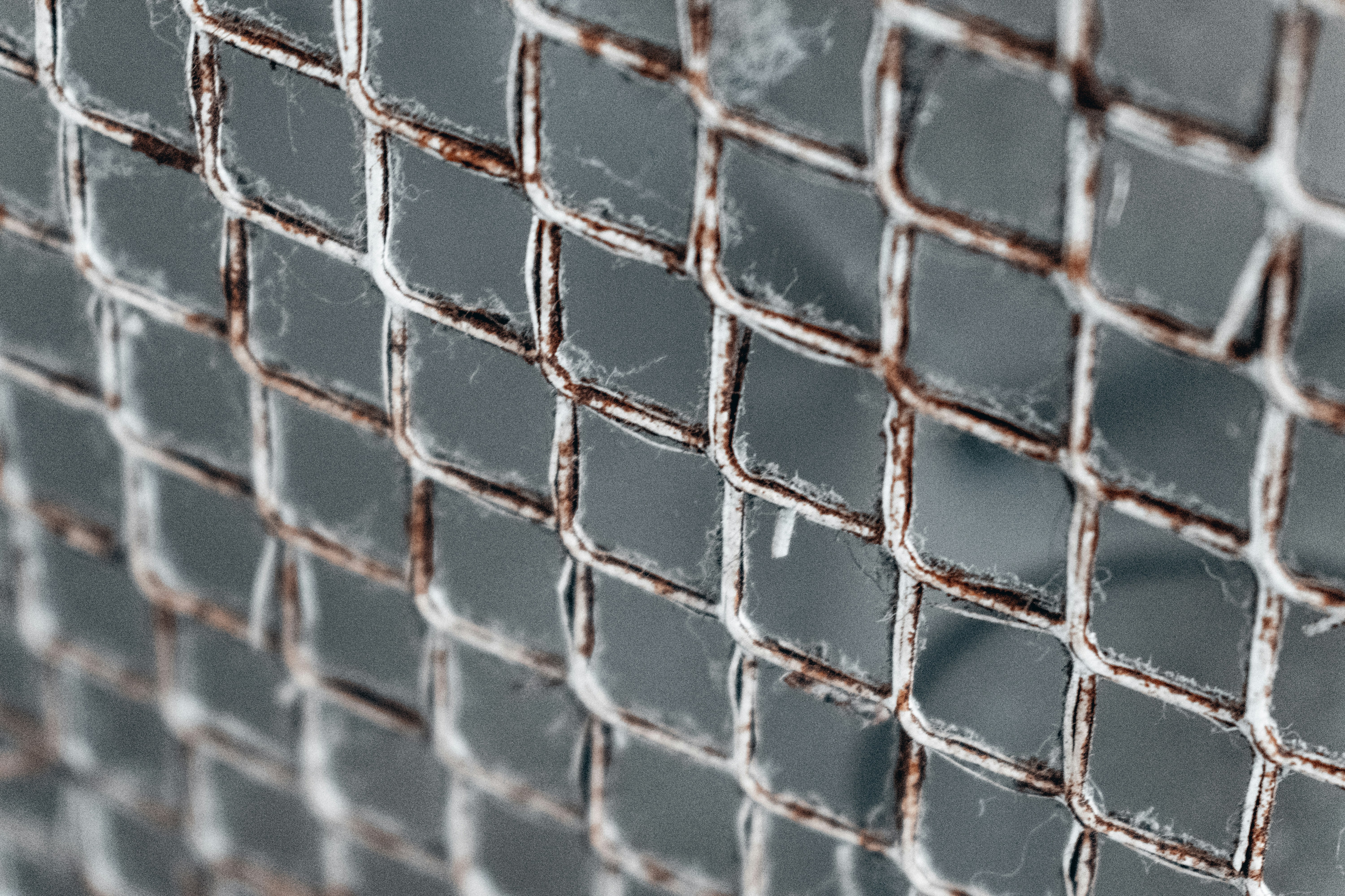 Photo by vadym_alyekseyenko