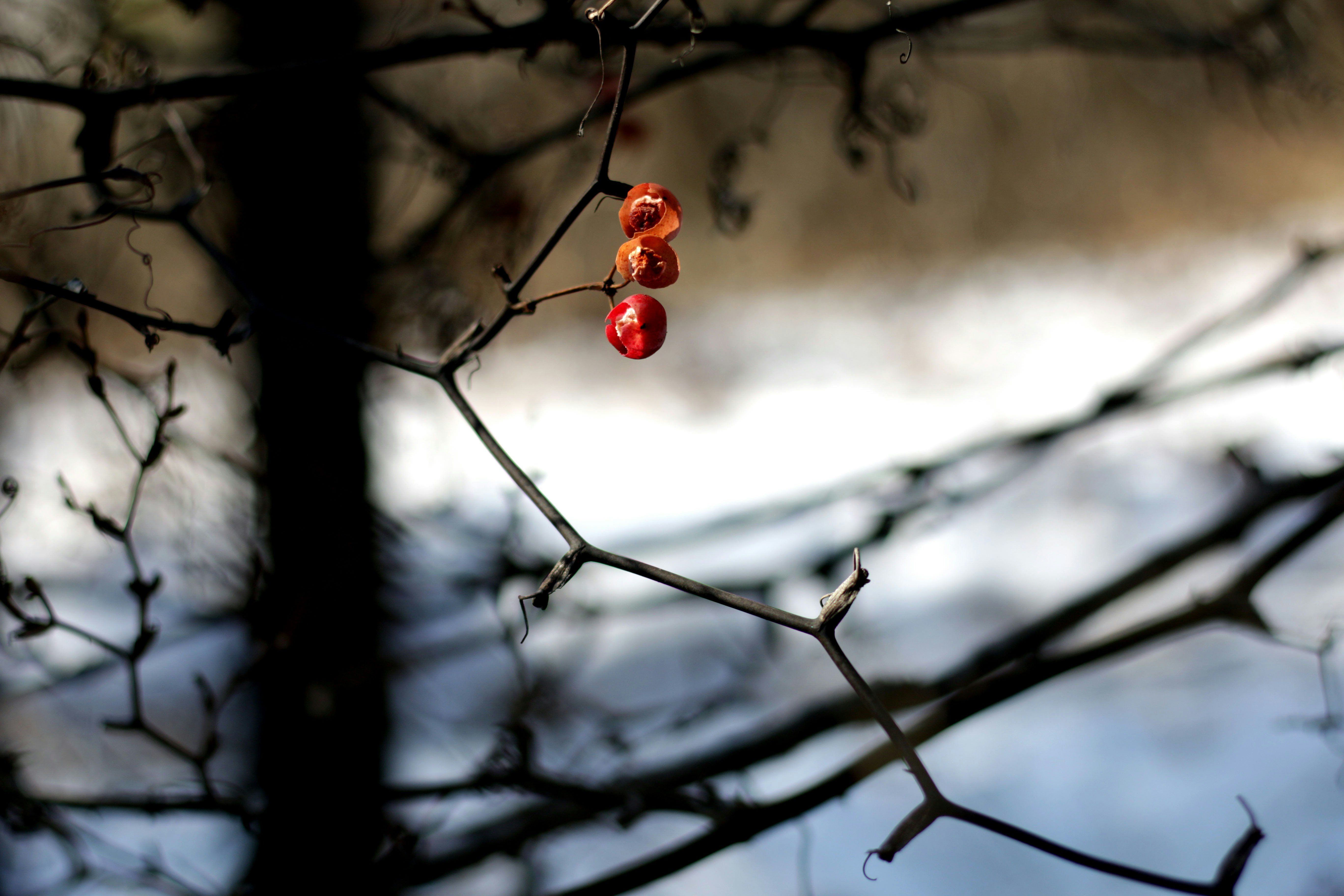 Photo by chulho