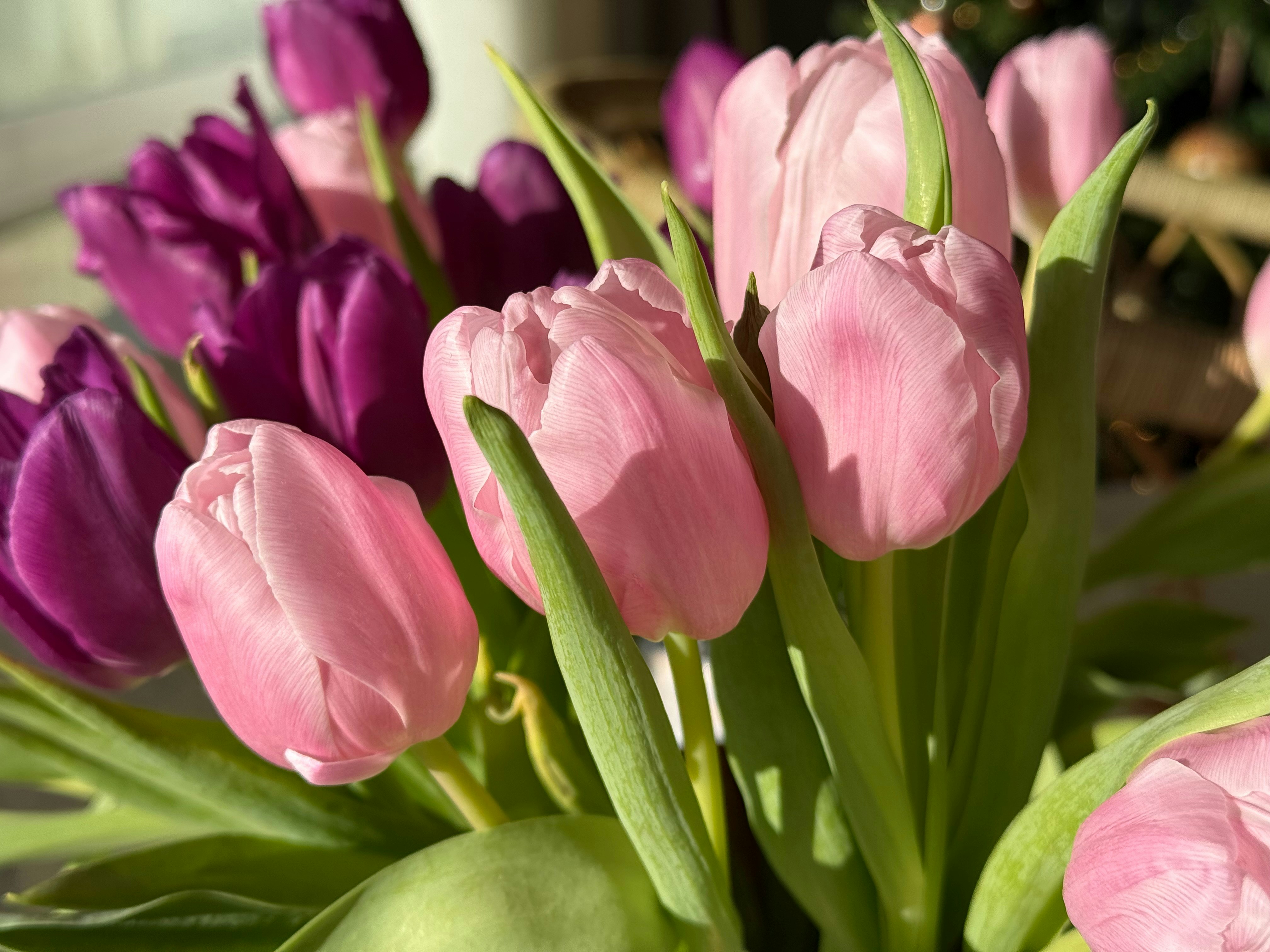 Photo by photosfromhome