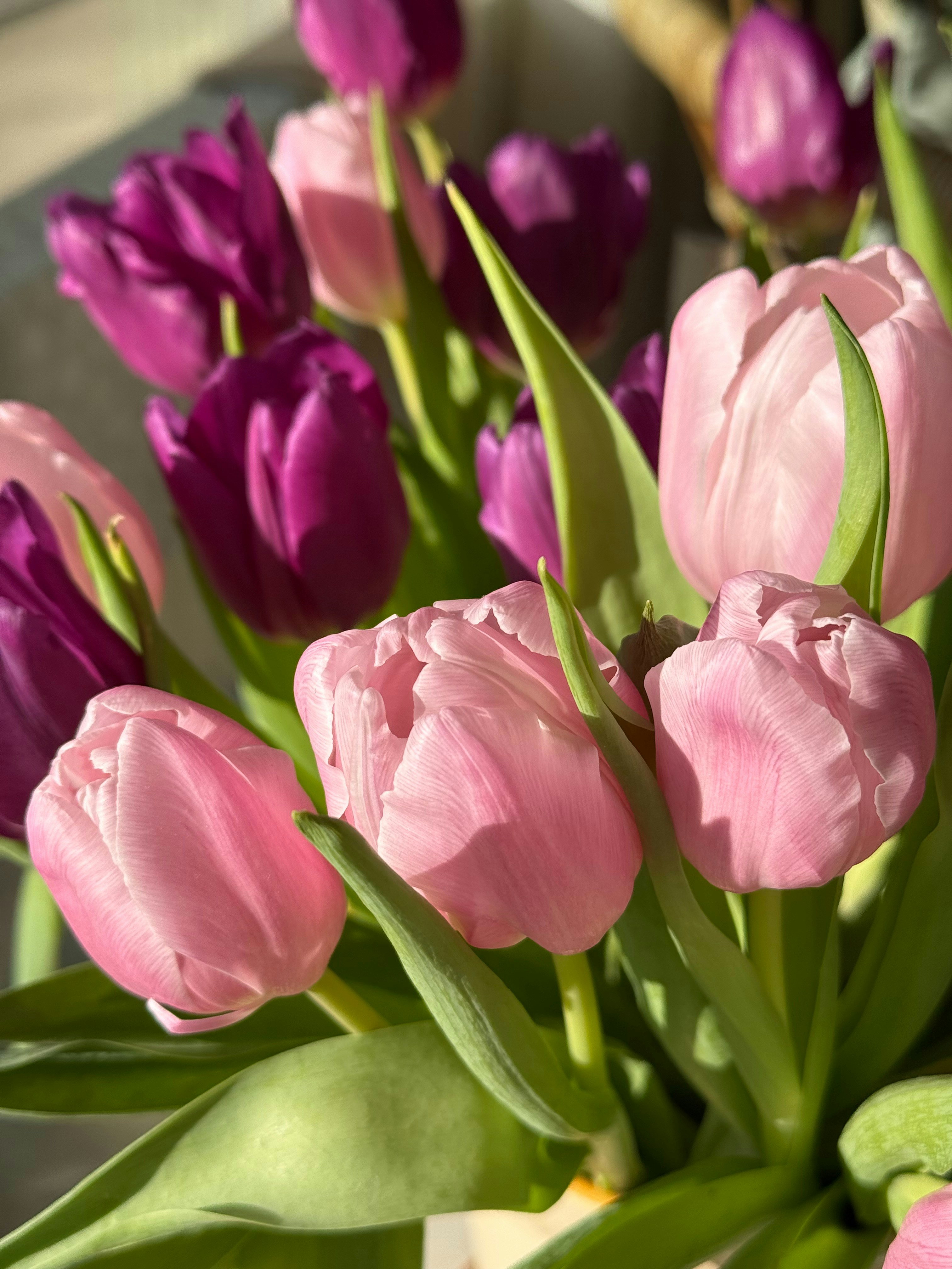 Photo by photosfromhome