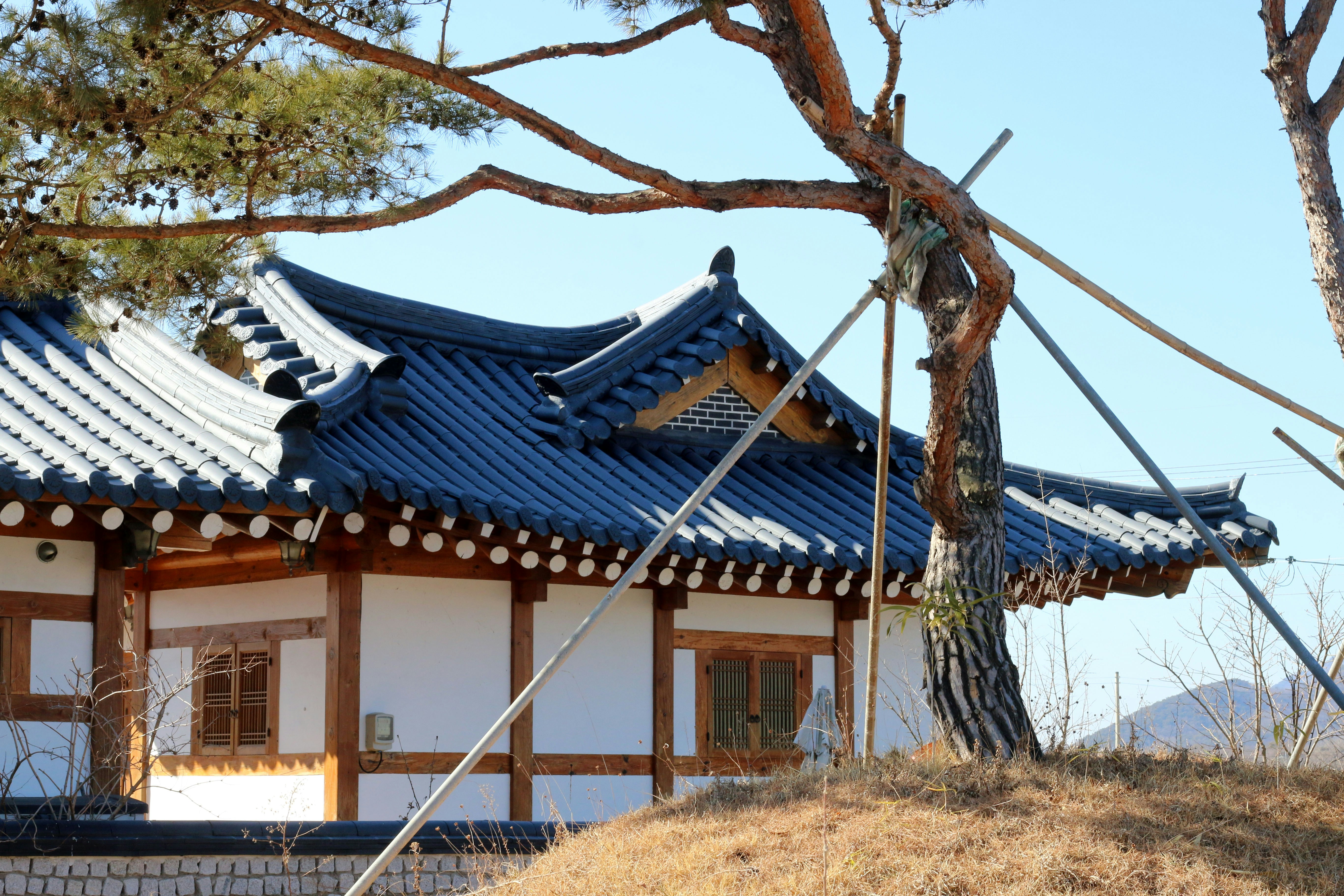 Traditional korean house with blue tiled roof