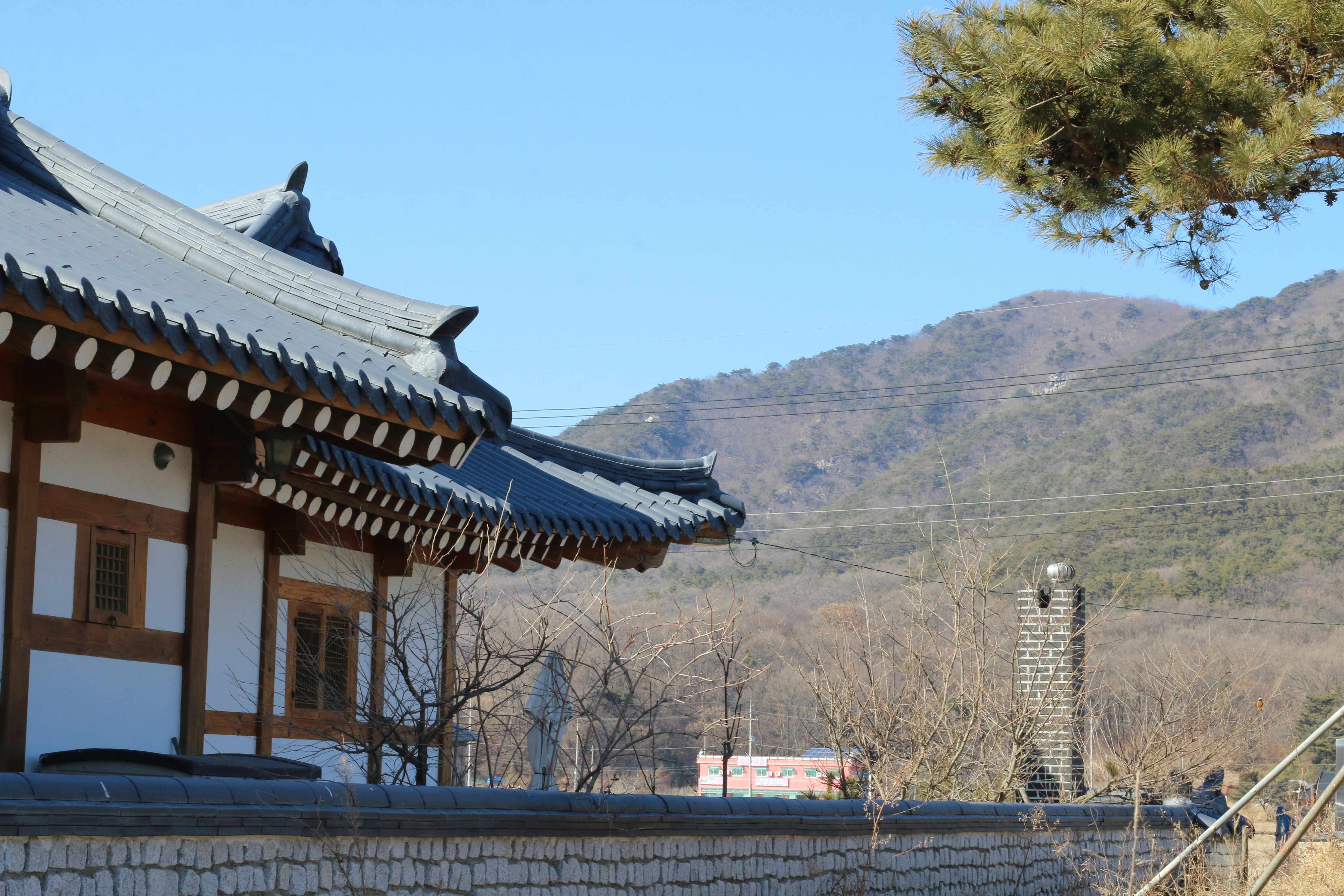 경북관광공사, 시진핑 주석 APEC 방한 기념 관광상품 개발 추진