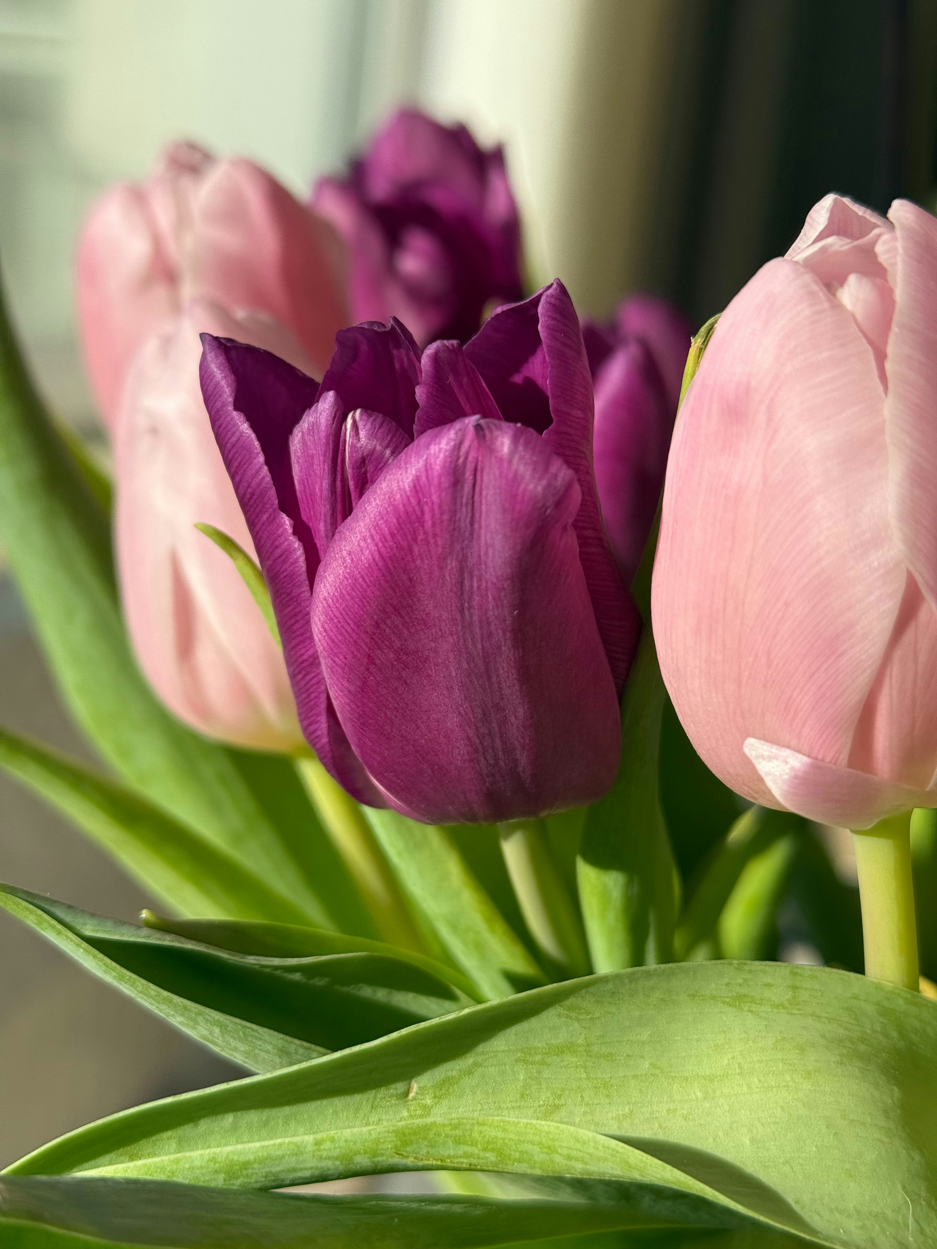 Photo by photosfromhome