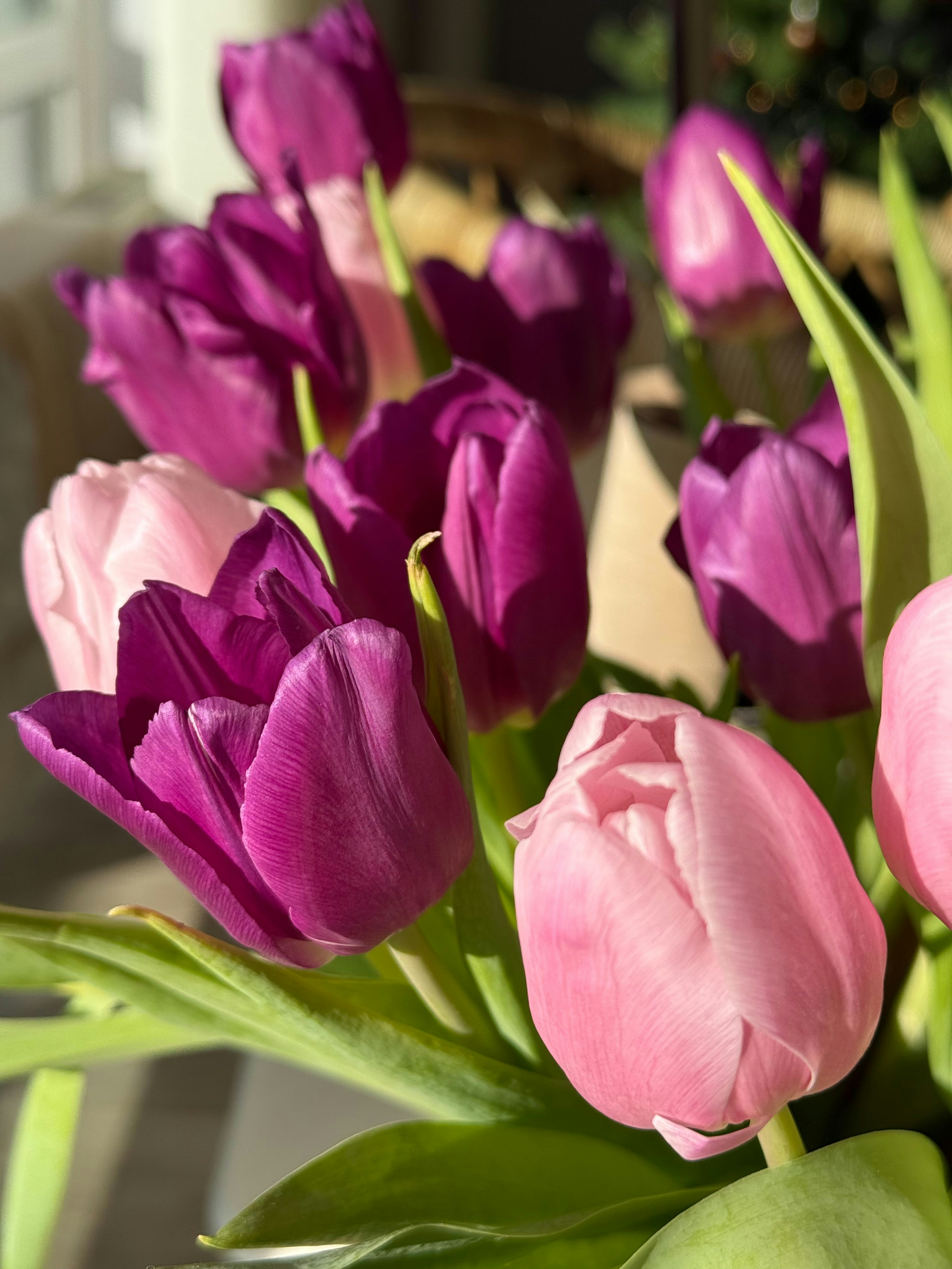 Photo by photosfromhome