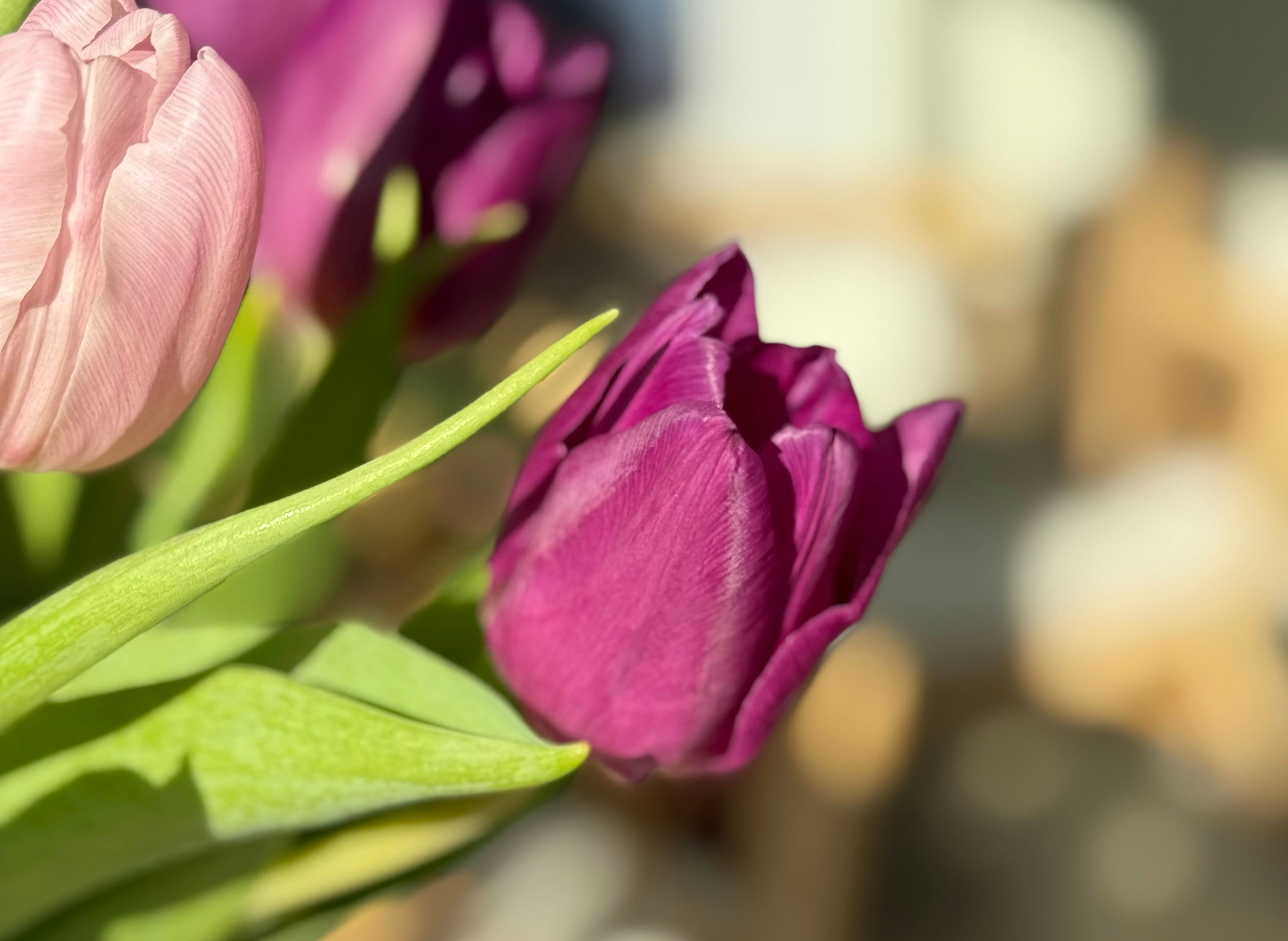 Photo by photosfromhome