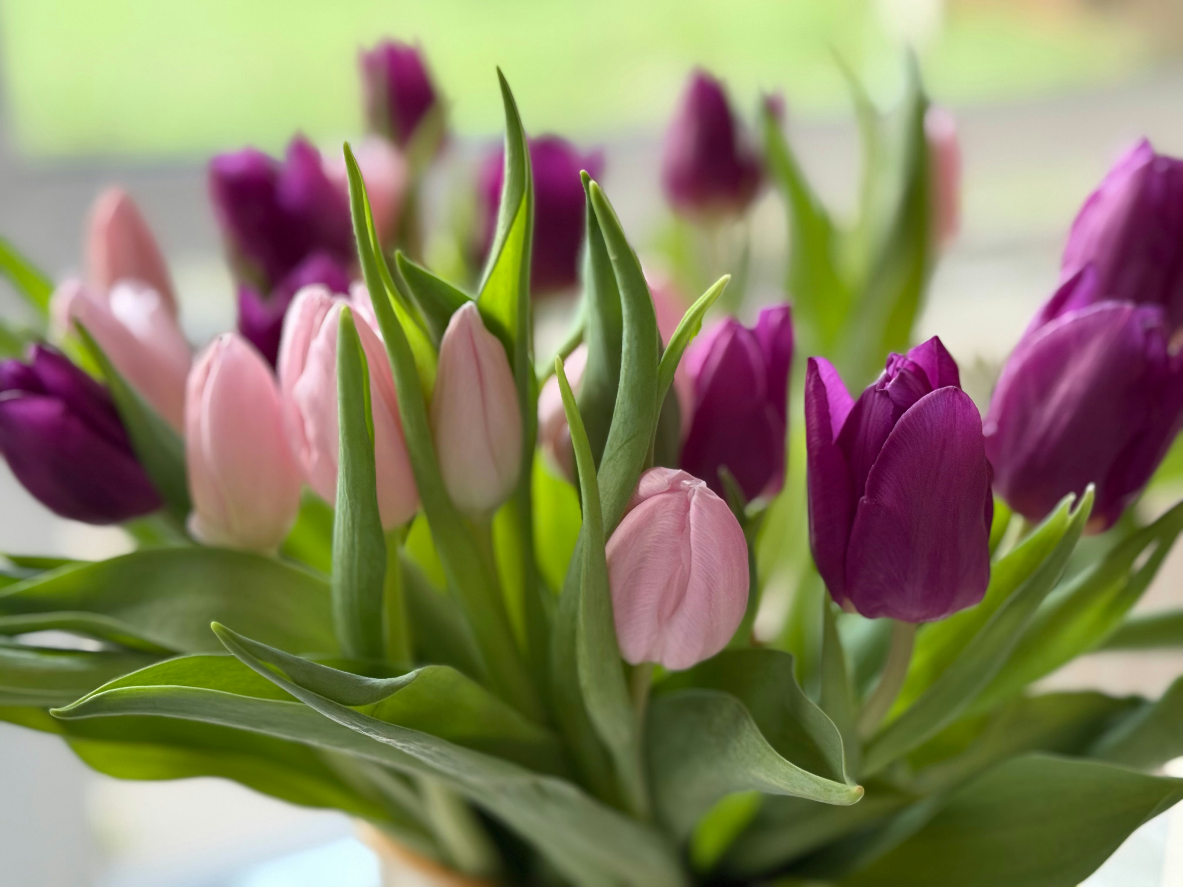 Photo by photosfromhome