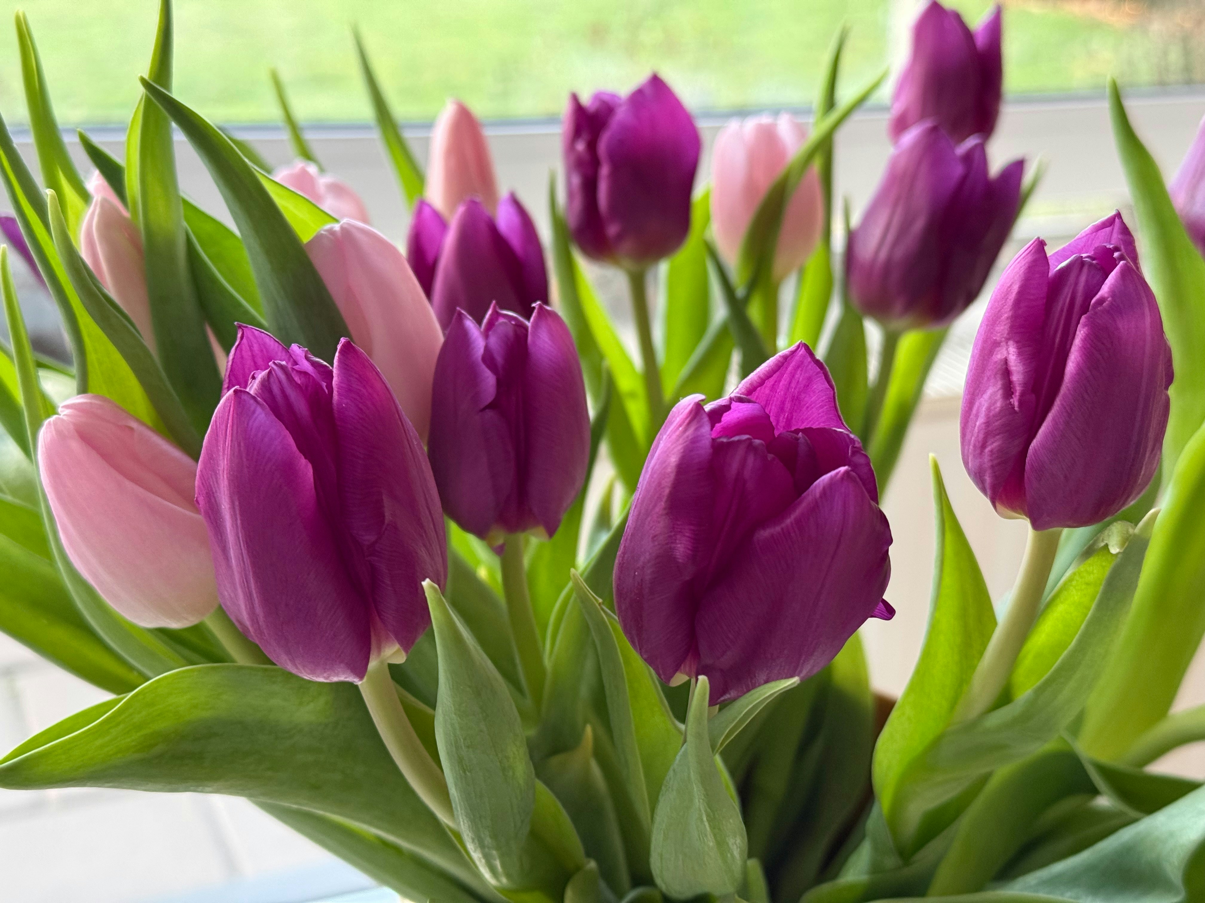 Photo by photosfromhome