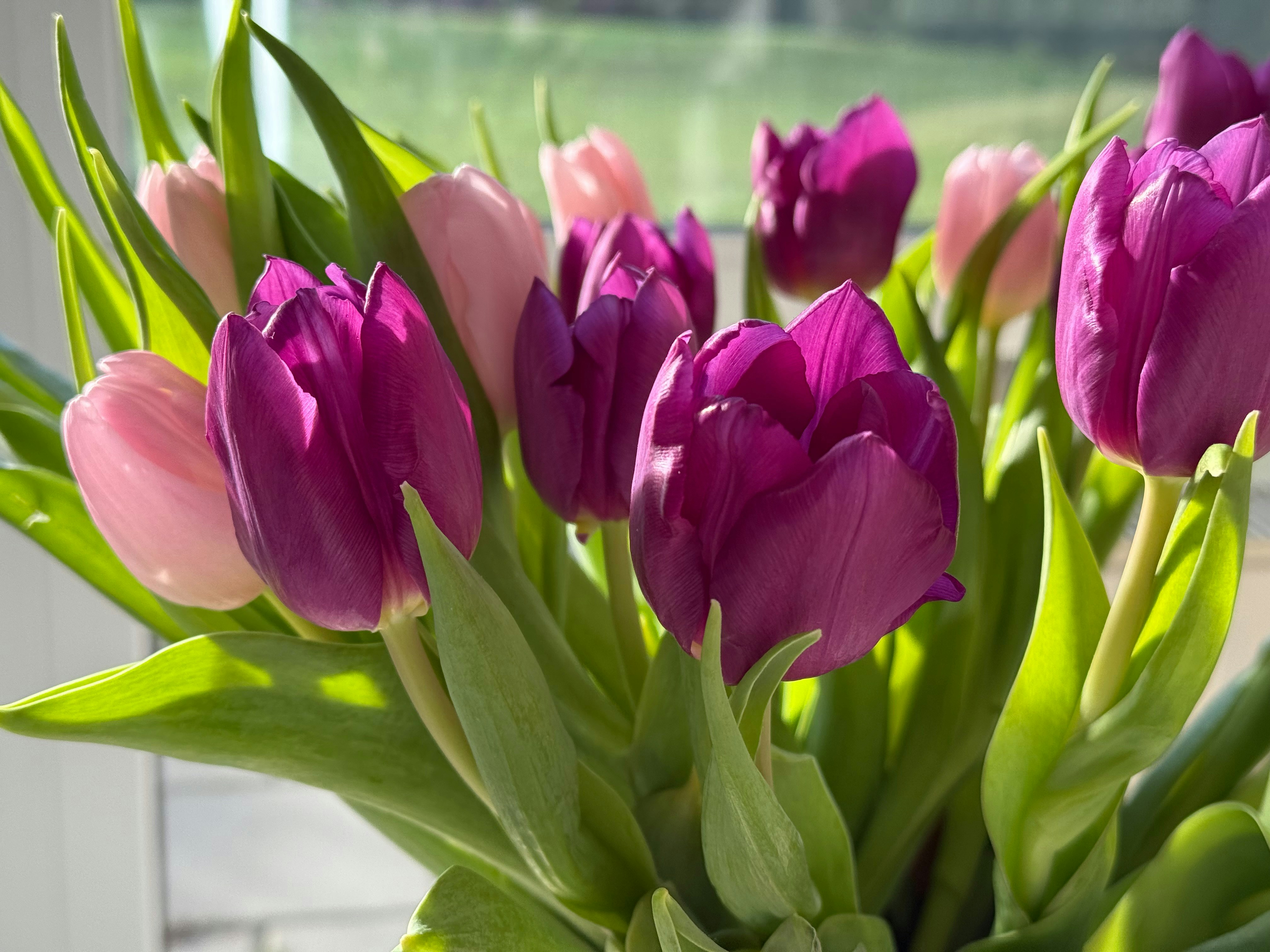 Photo by photosfromhome