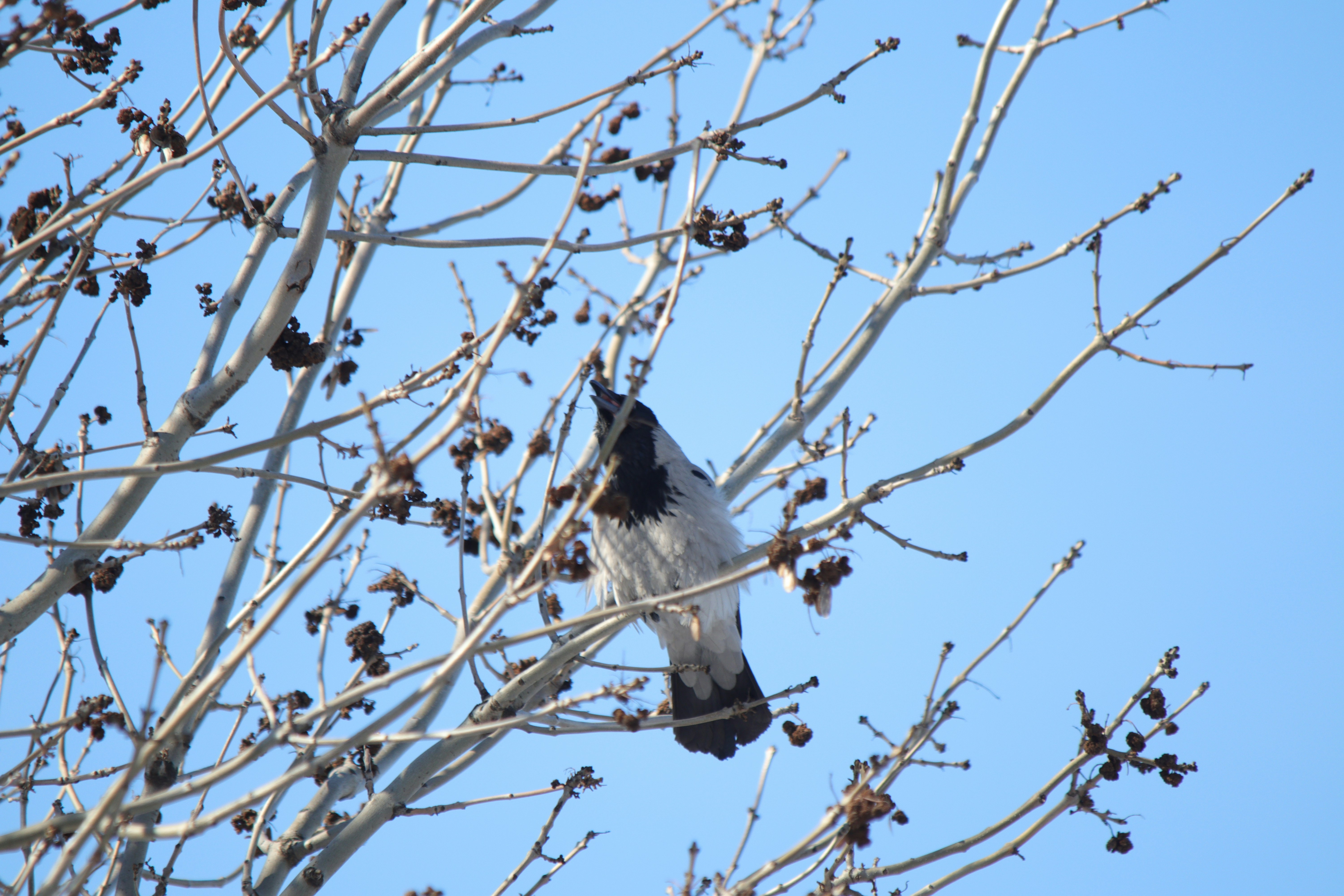 Photo by fotografialuivlad