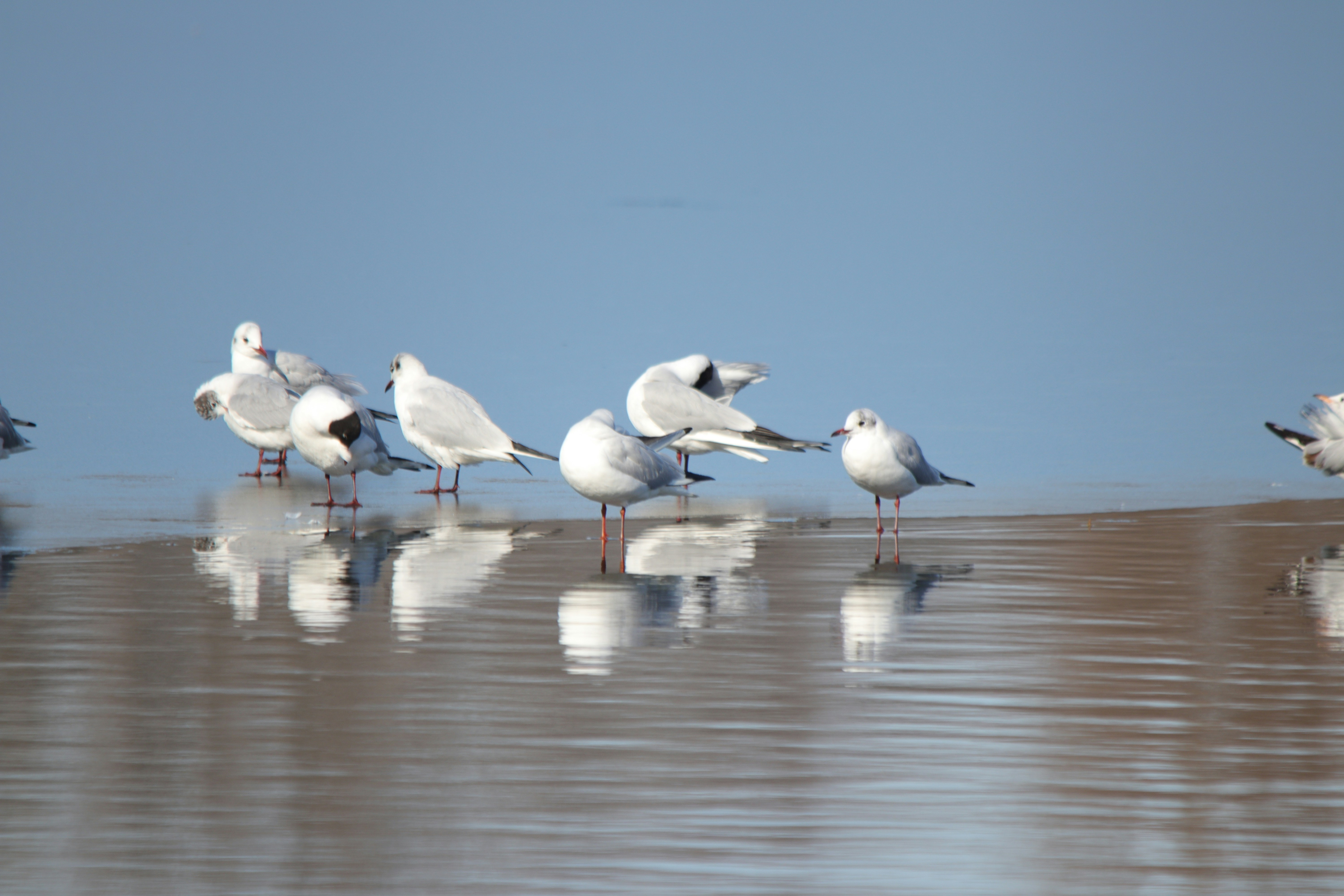 Photo by fotografialuivlad