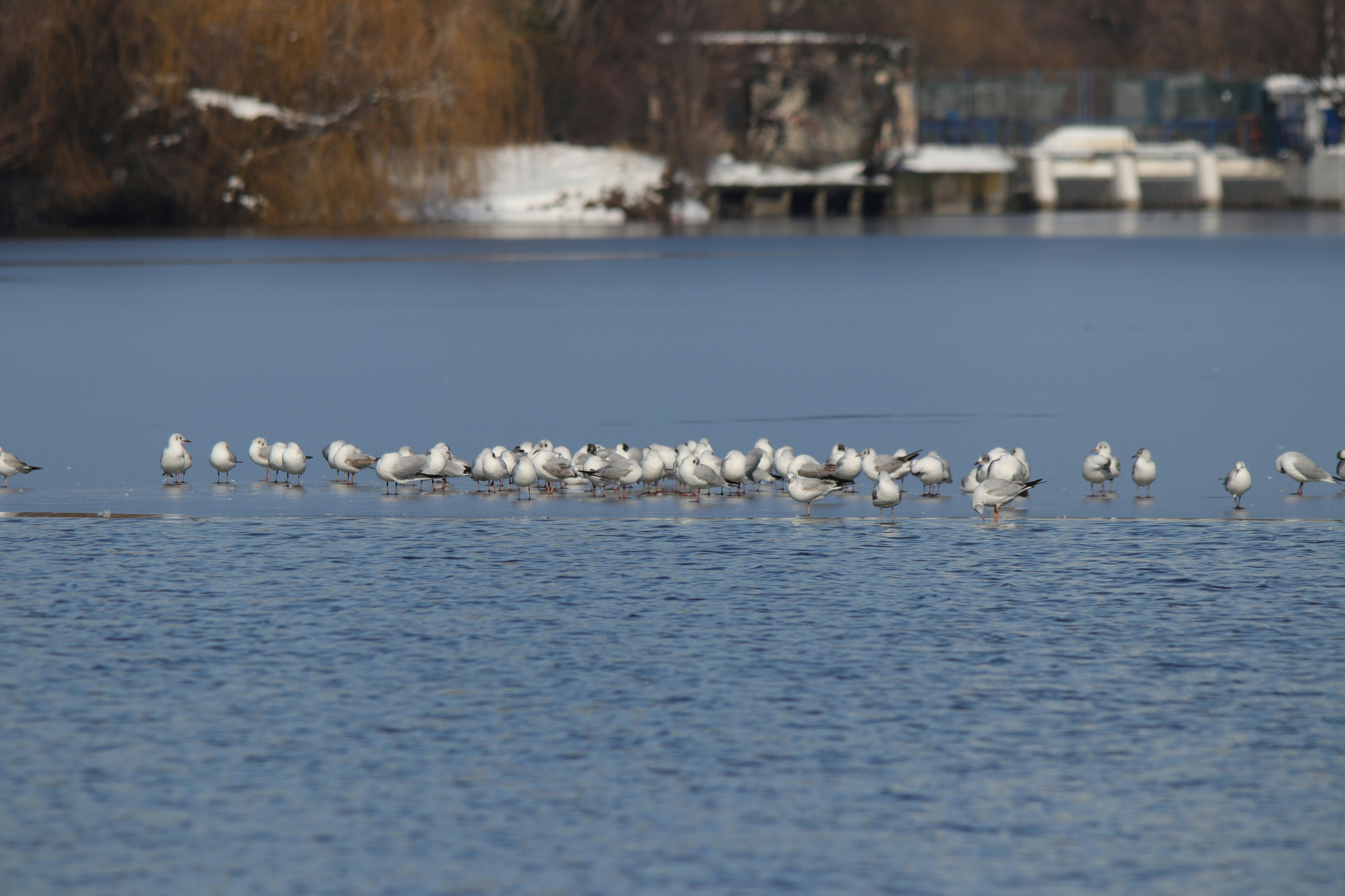 Photo by fotografialuivlad