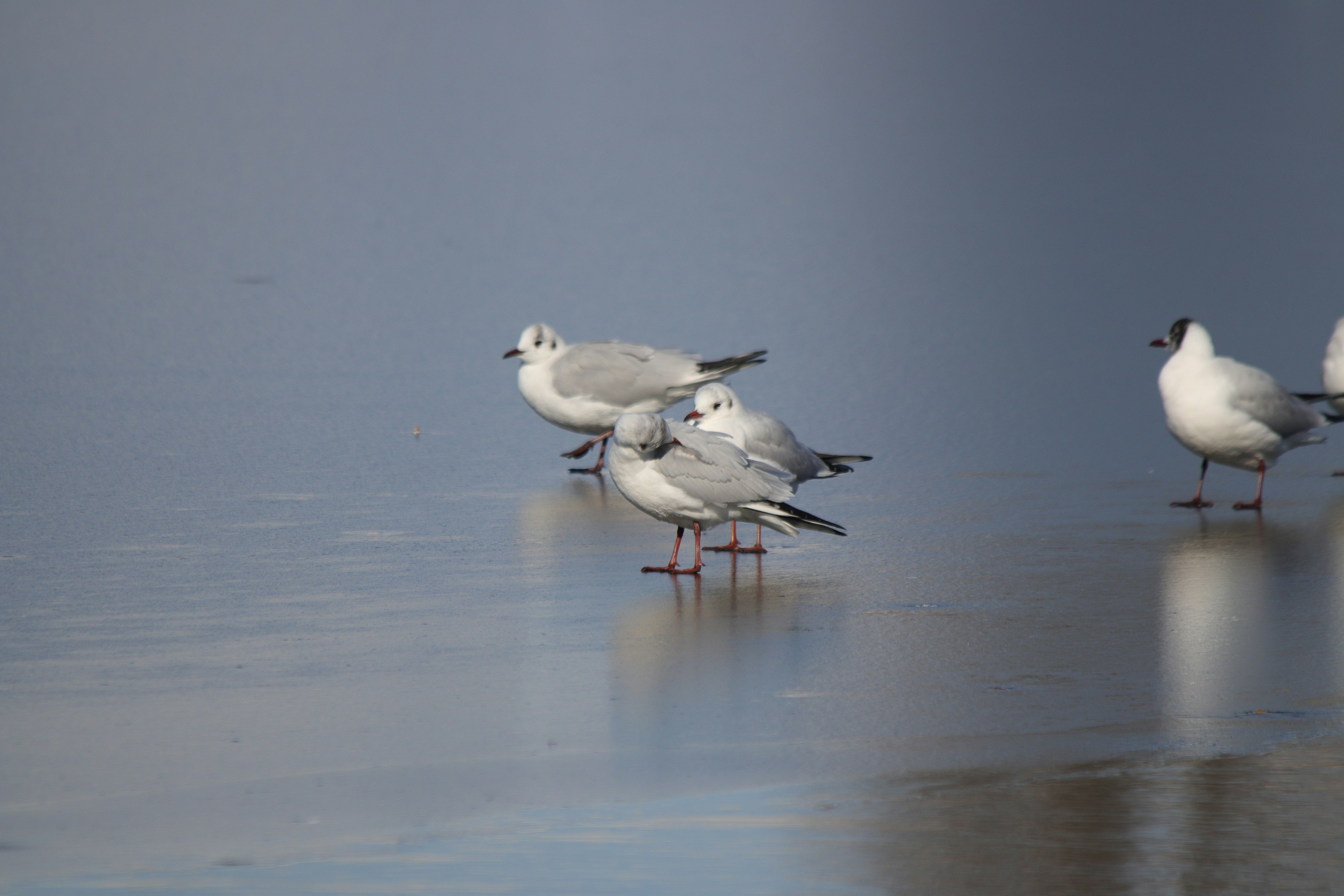 Photo by fotografialuivlad