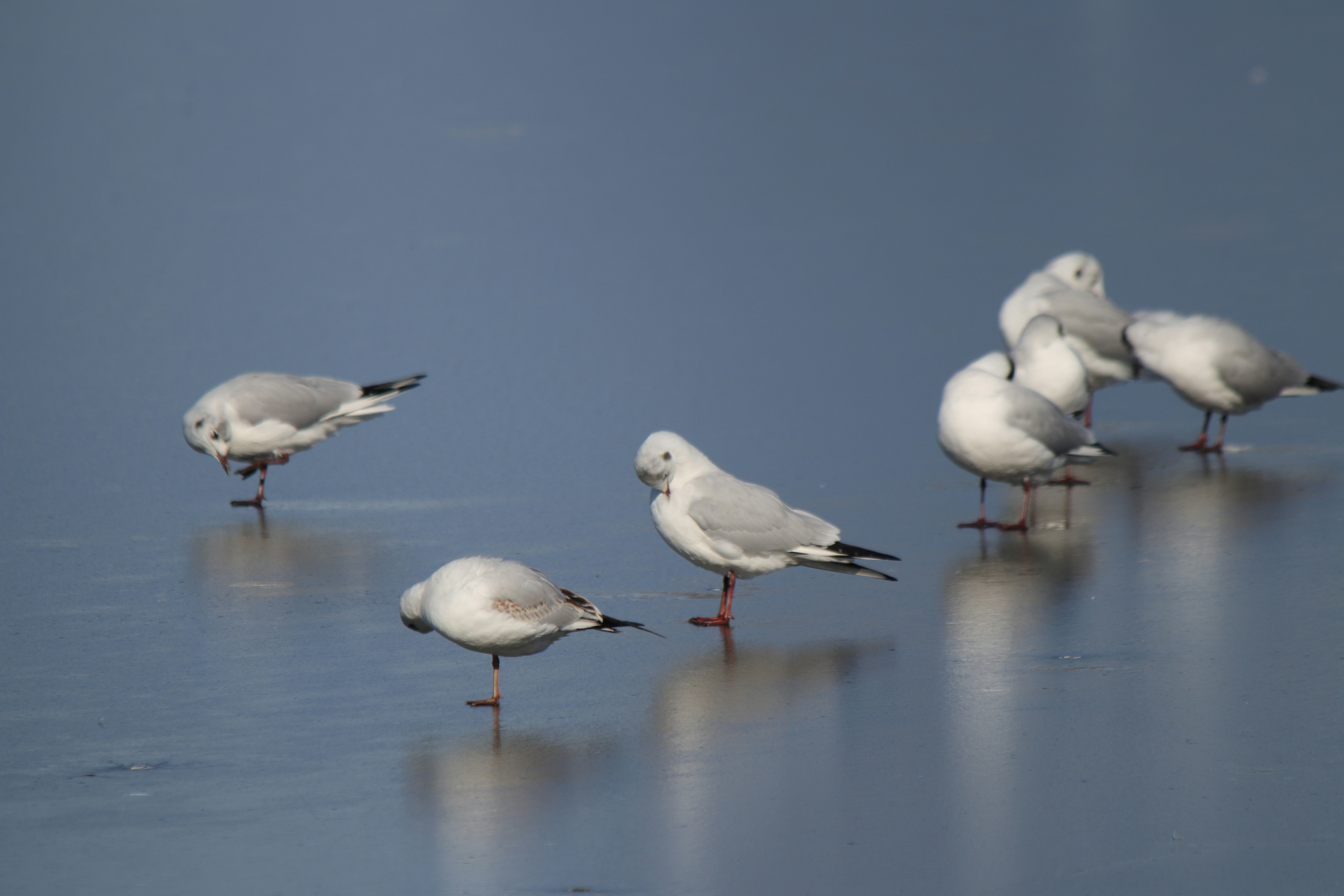 Photo by fotografialuivlad