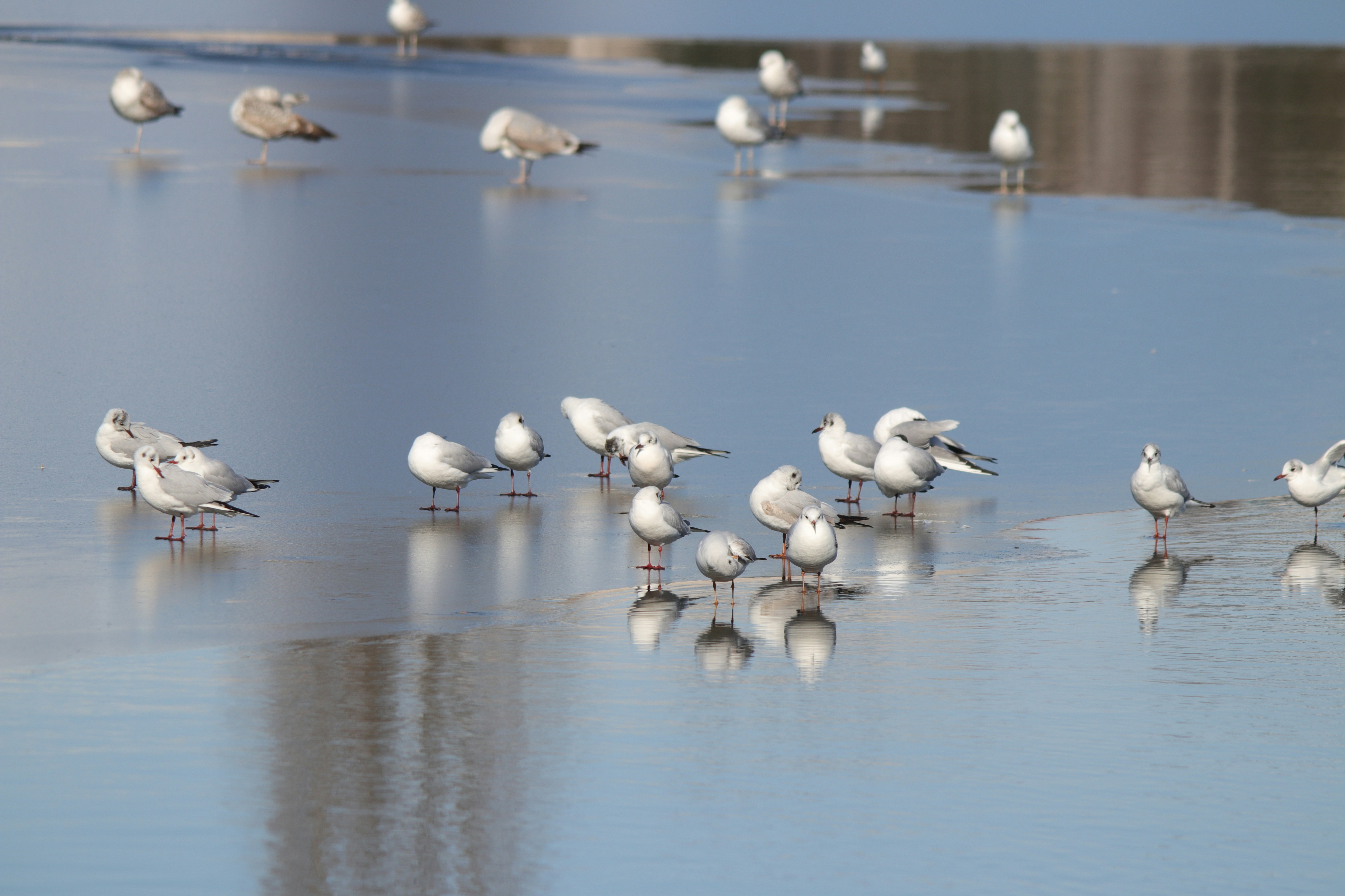 Photo by fotografialuivlad