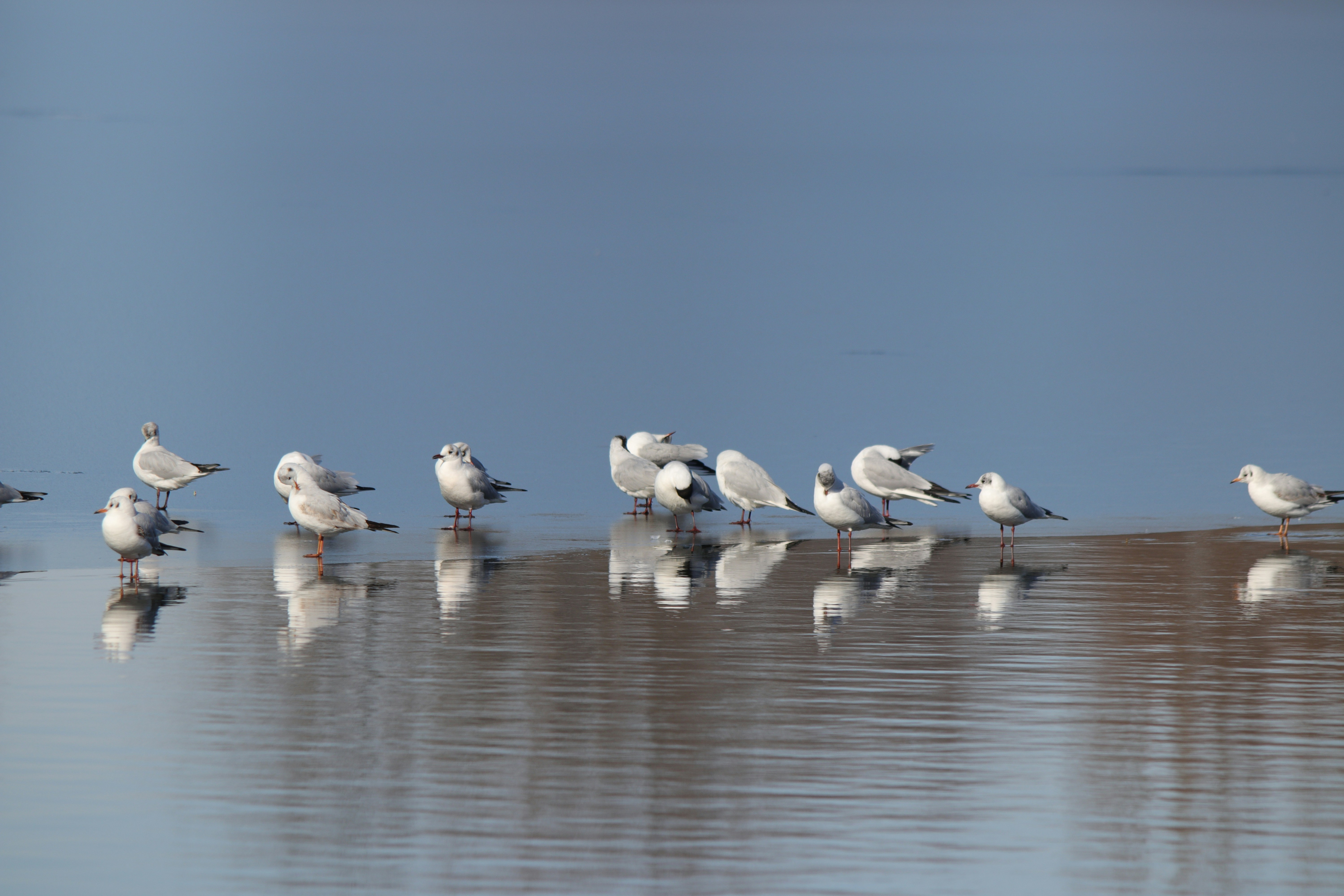 Photo by fotografialuivlad