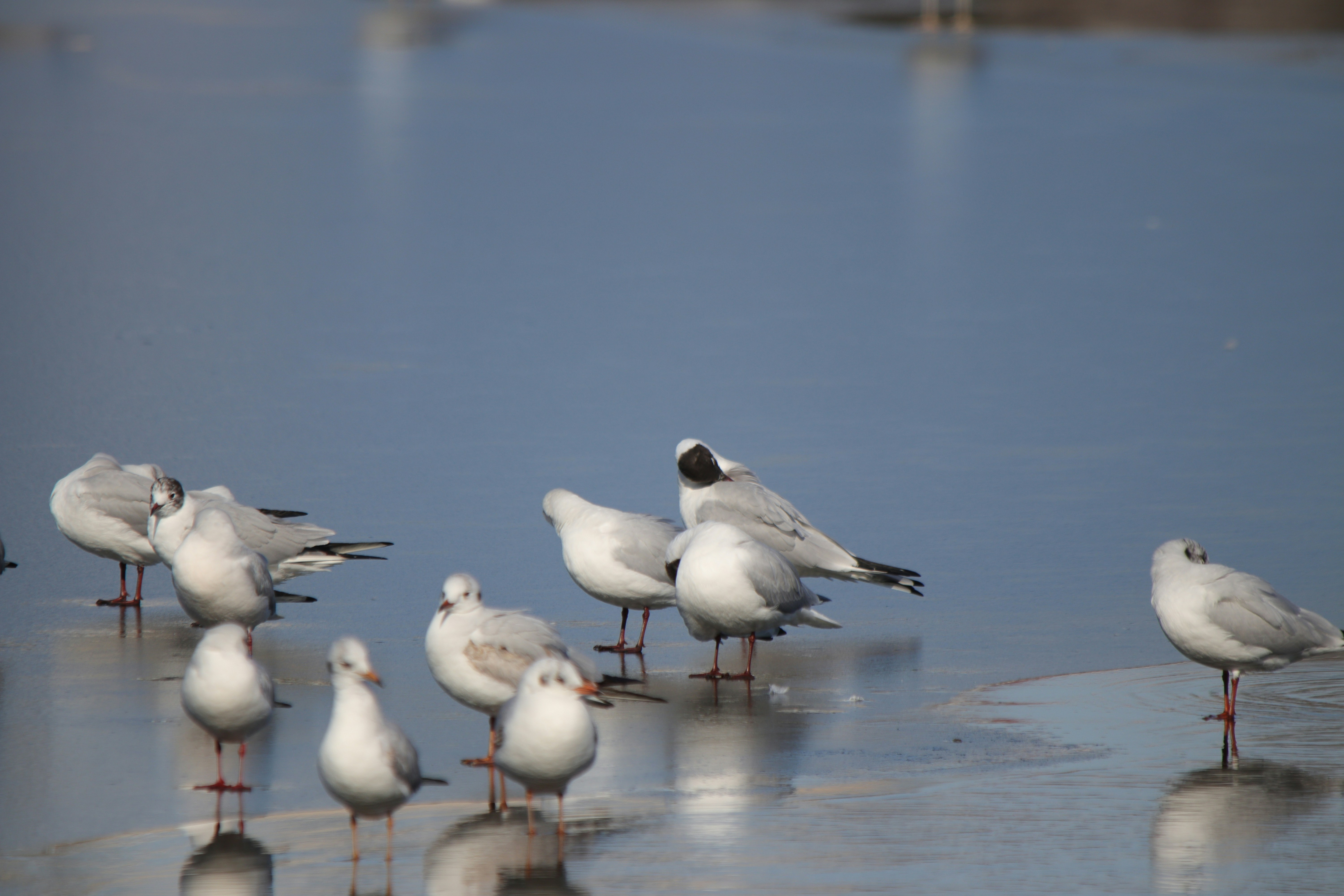 Photo by fotografialuivlad