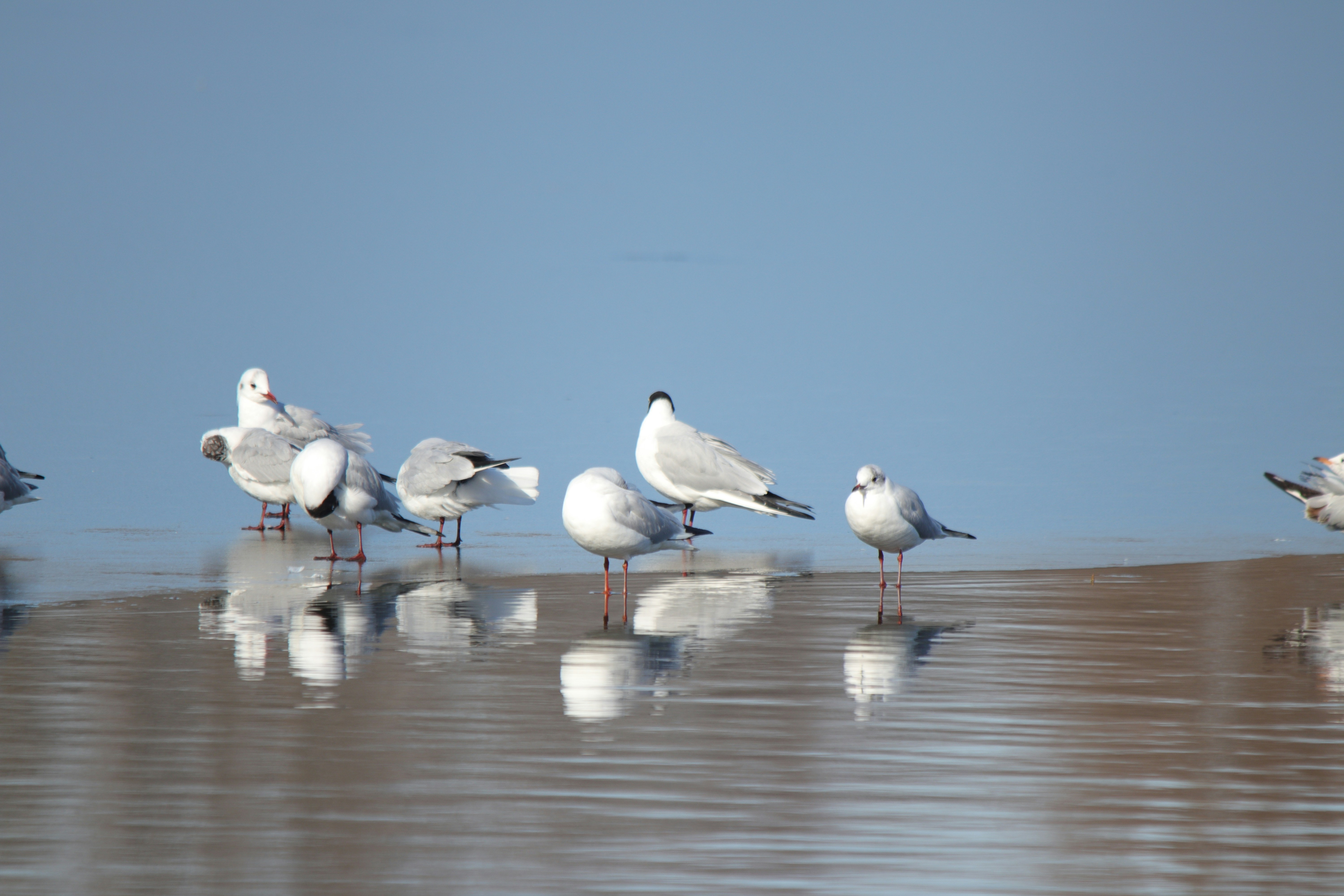 Photo by fotografialuivlad