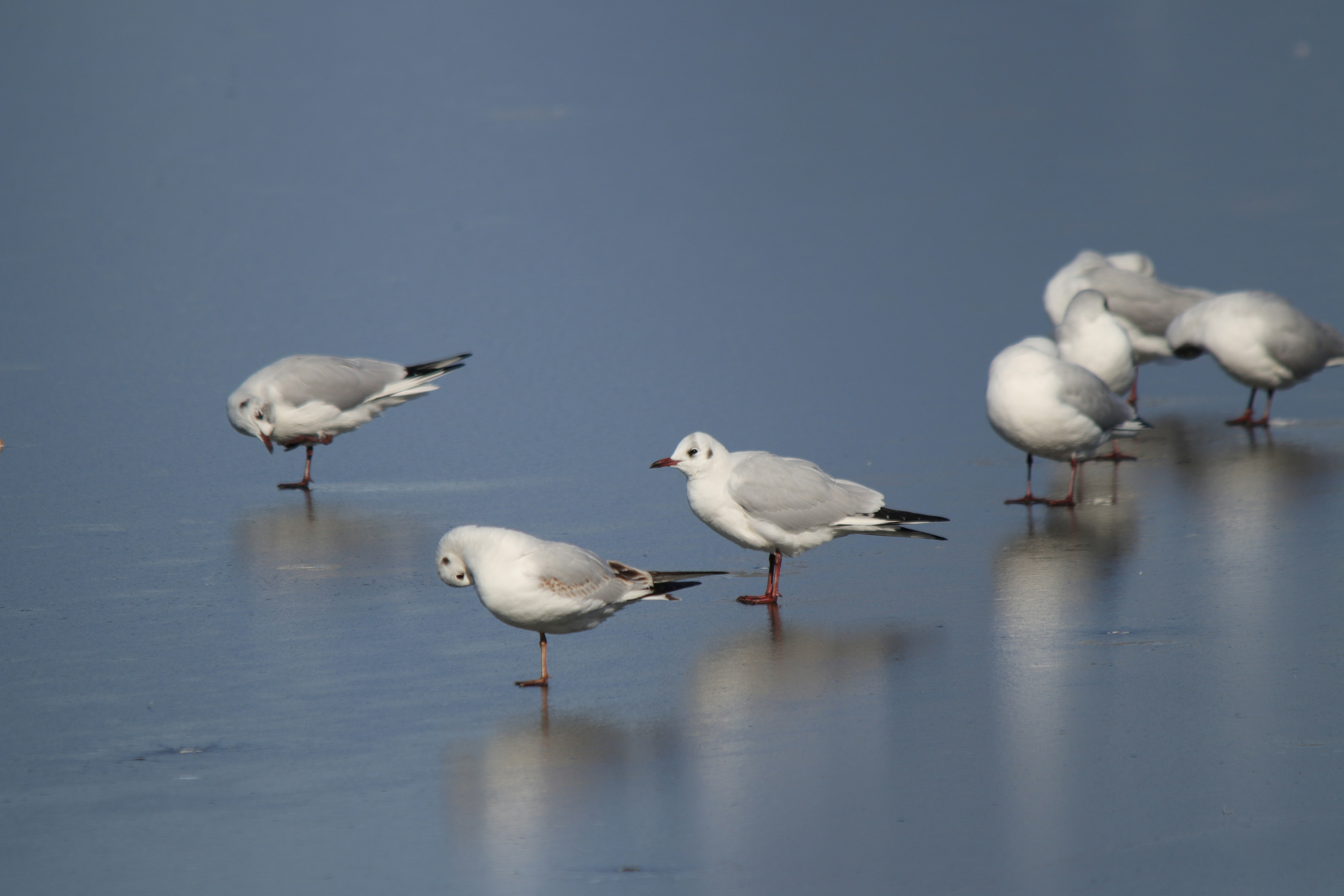 Photo by fotografialuivlad