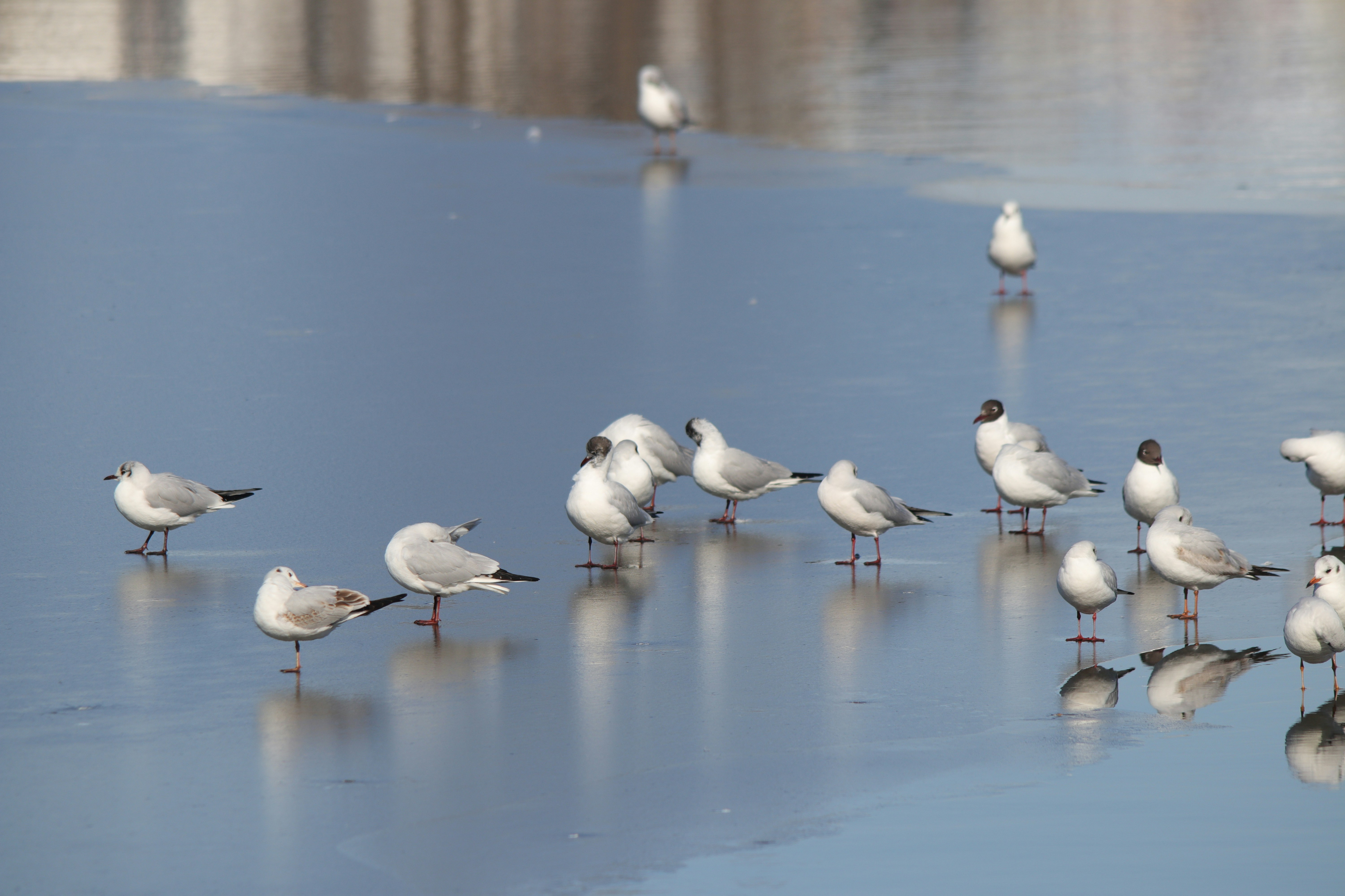 Photo by fotografialuivlad