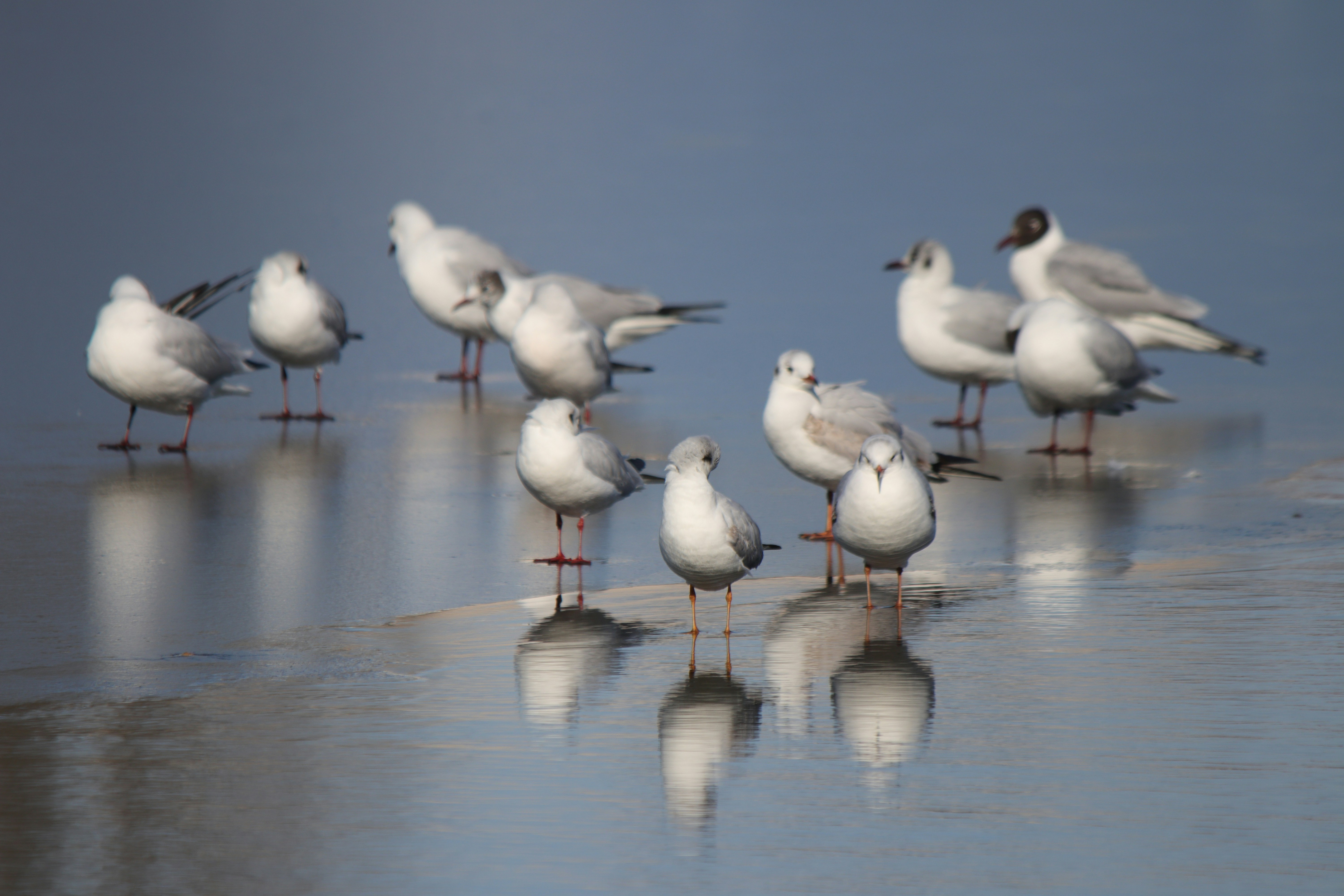 Photo by fotografialuivlad