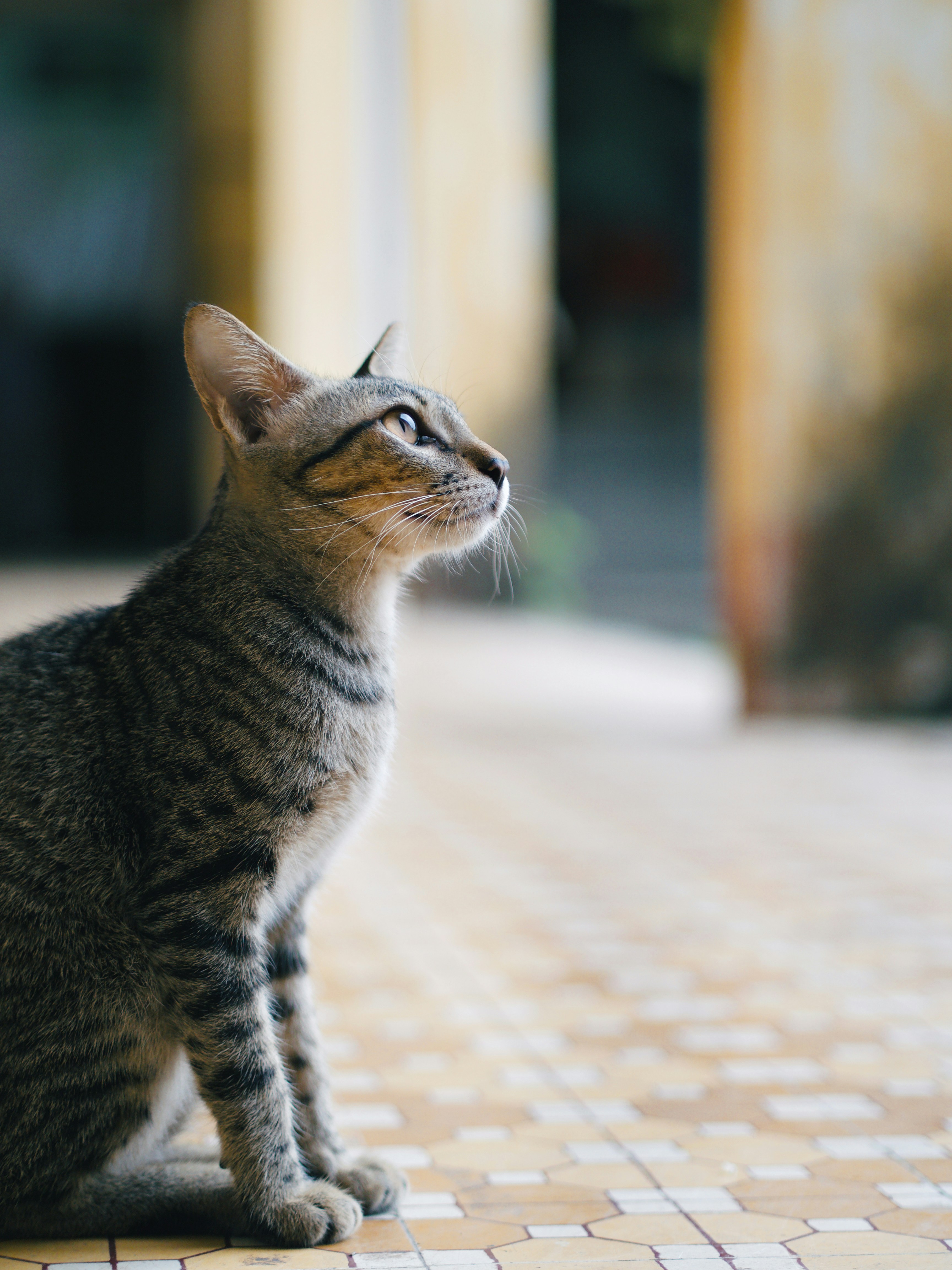 Photo by liliantruong2603