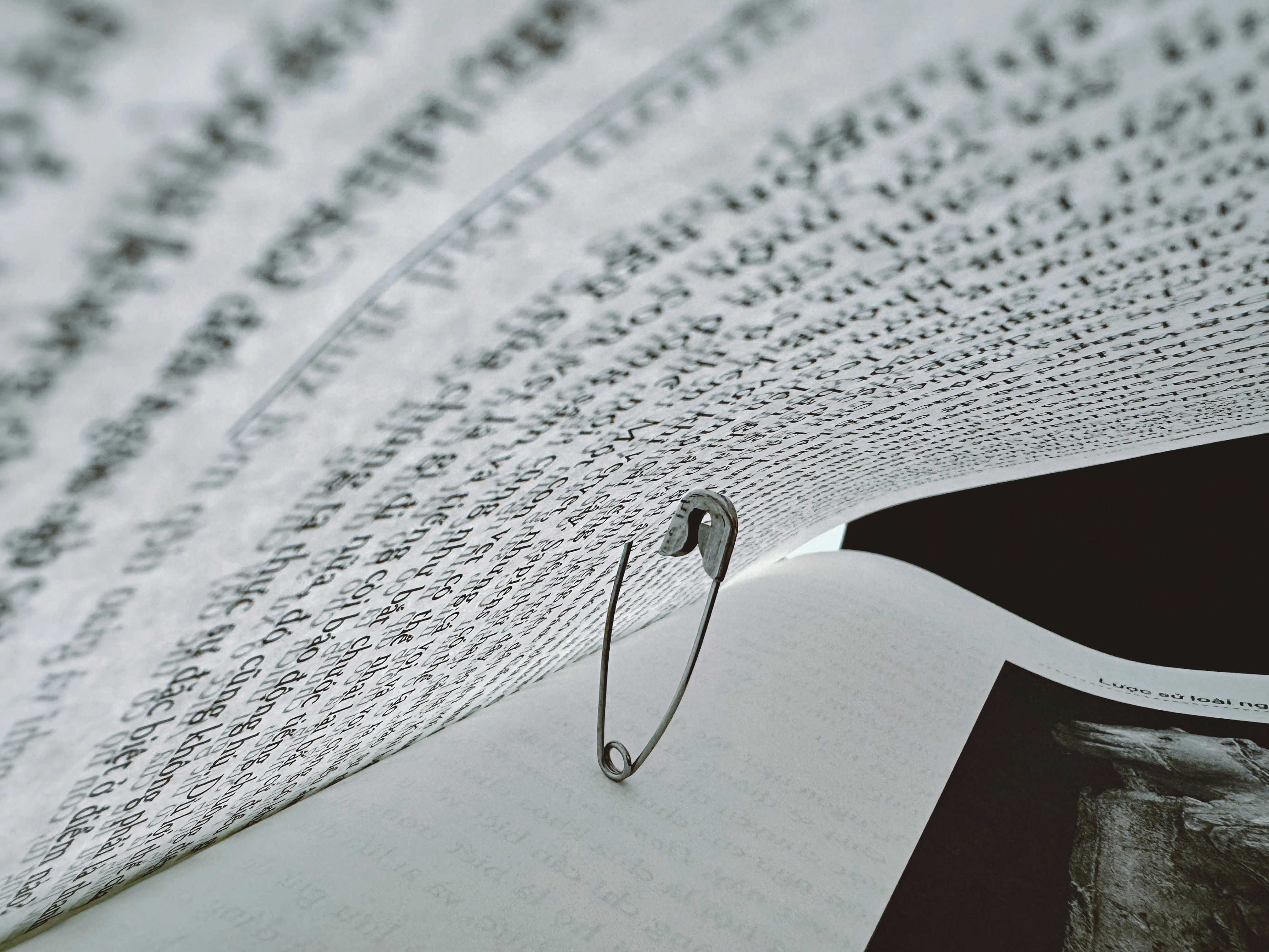 Photo by liliantruong2603