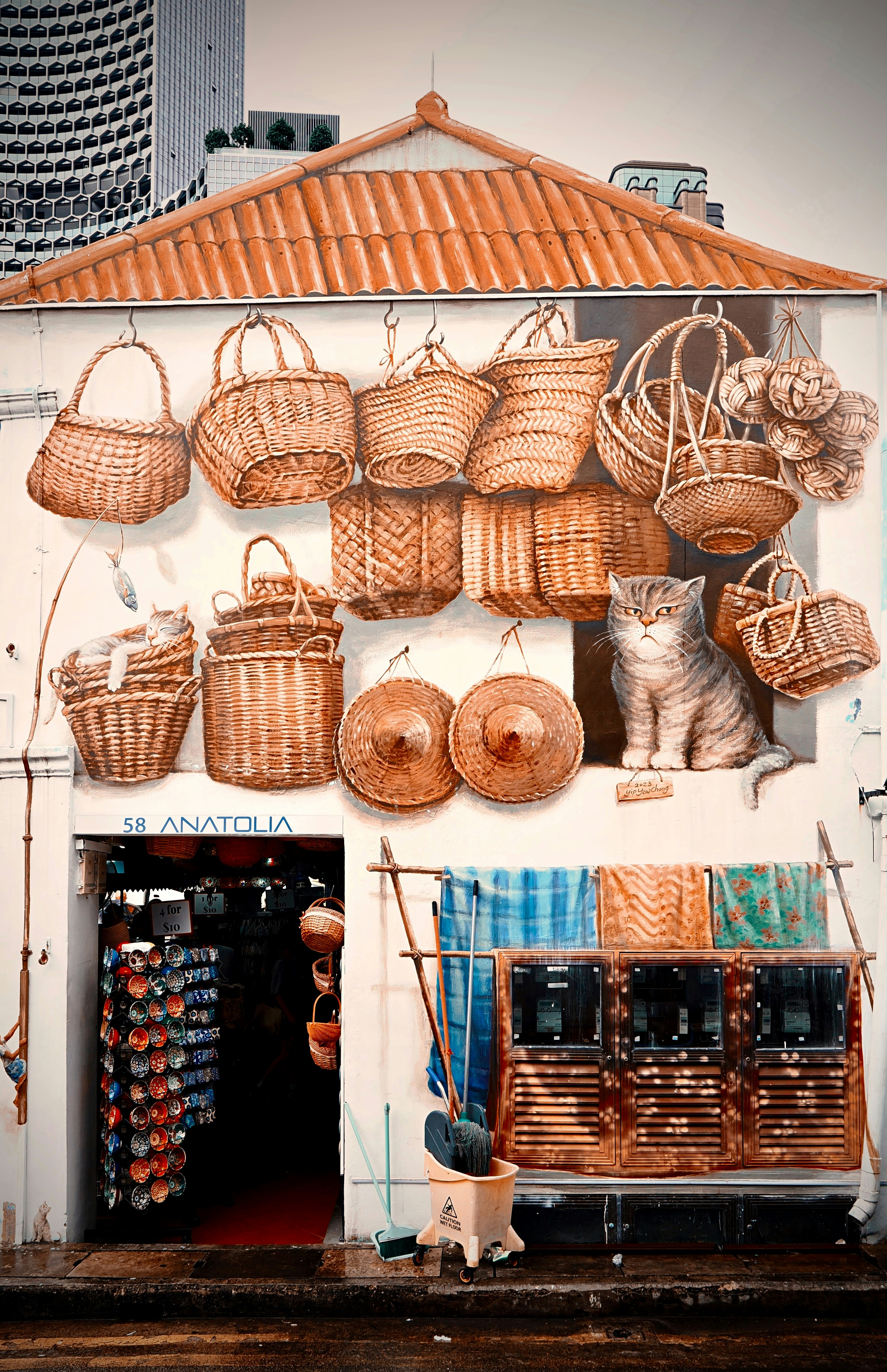 A tabby cat sits among woven baskets outside a shop.