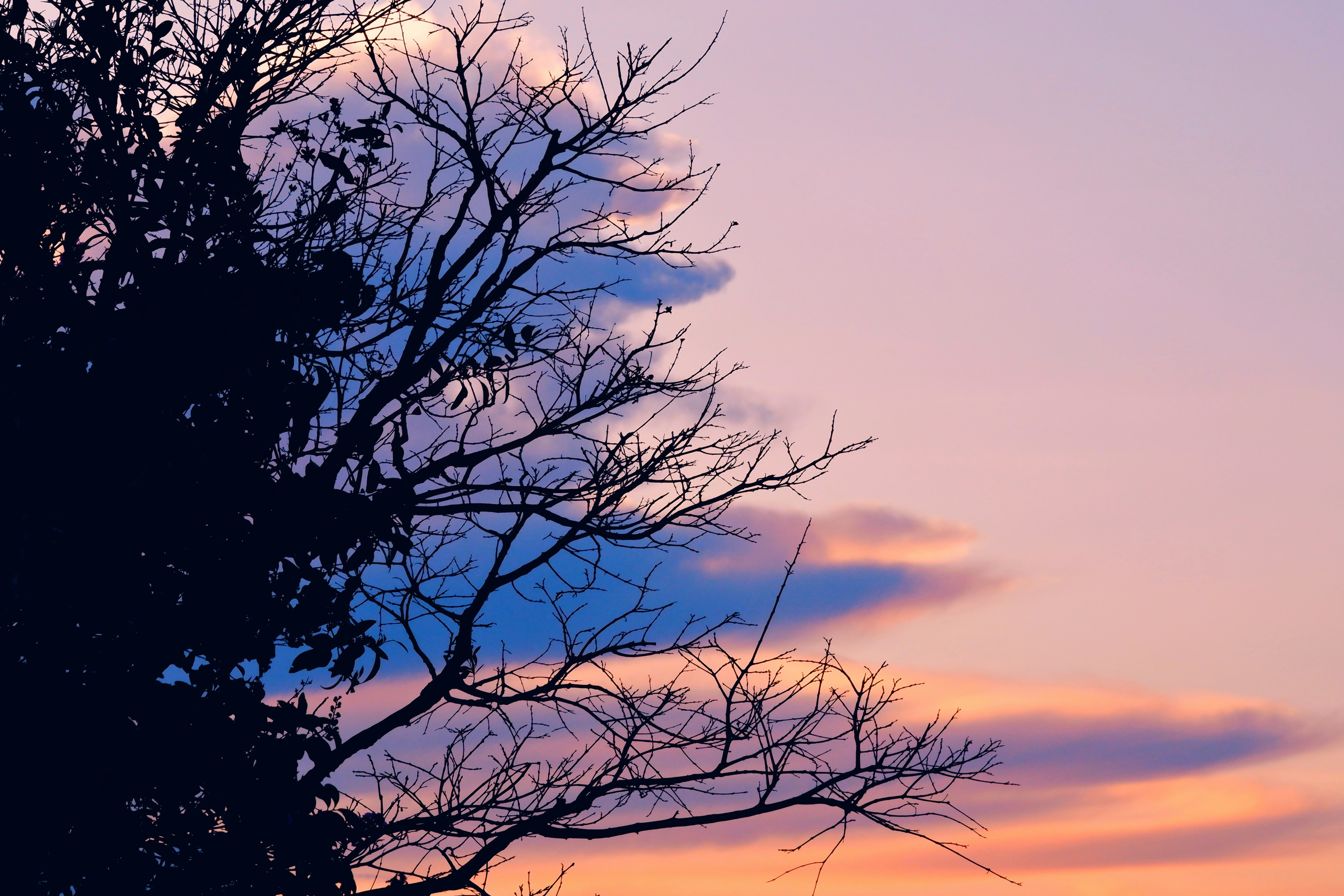 Photo by liliantruong2603