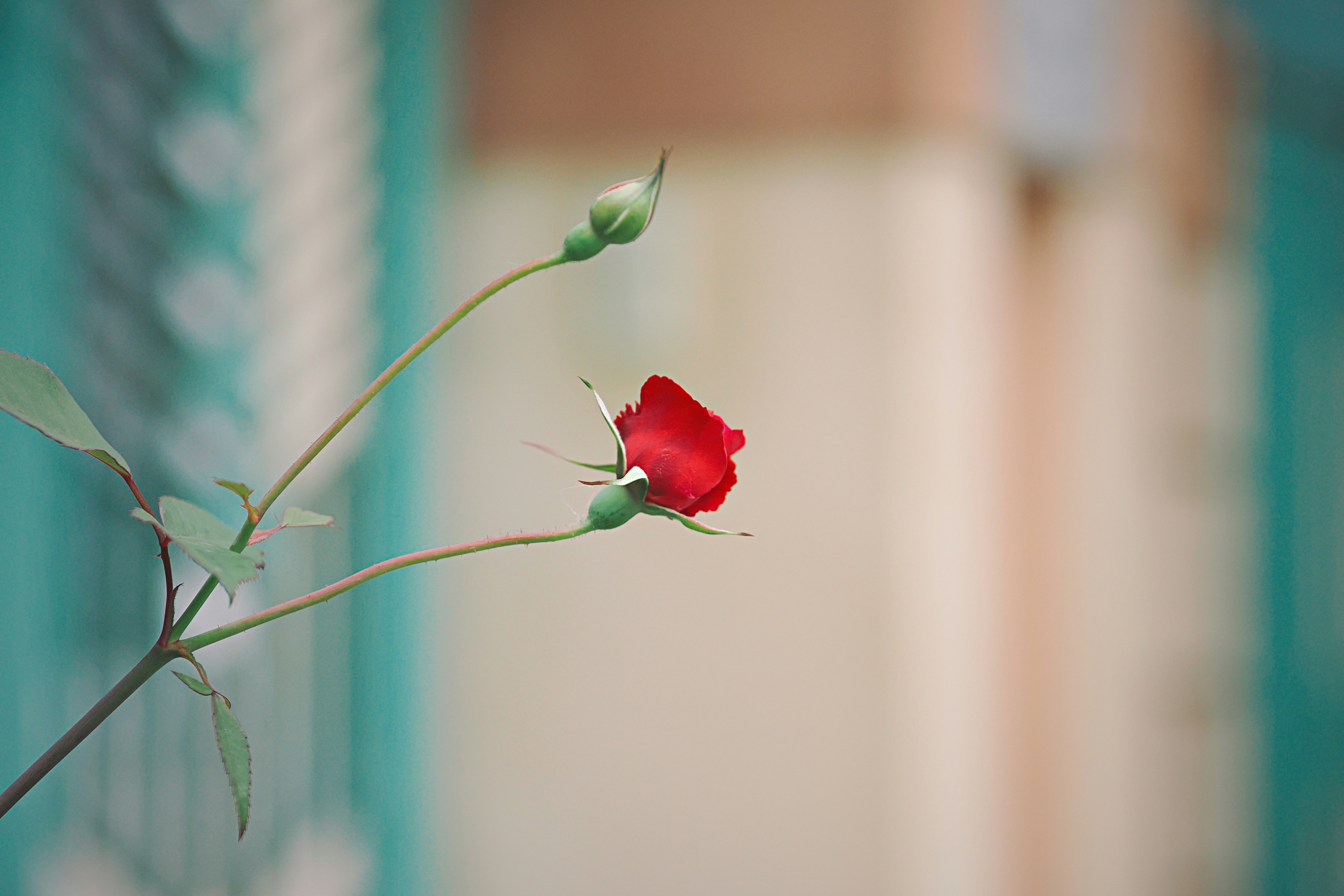 Photo by liliantruong2603