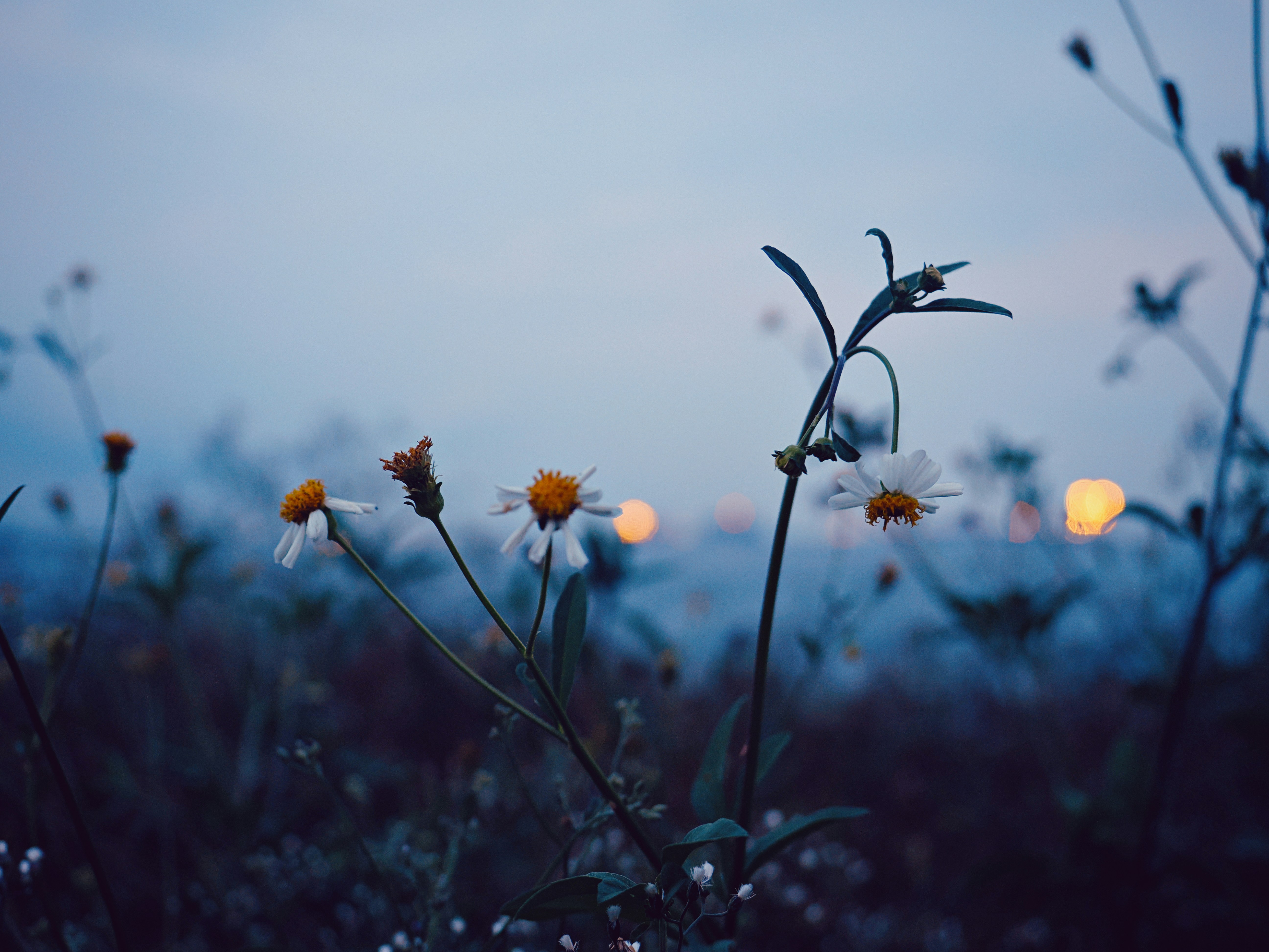 Photo by liliantruong2603