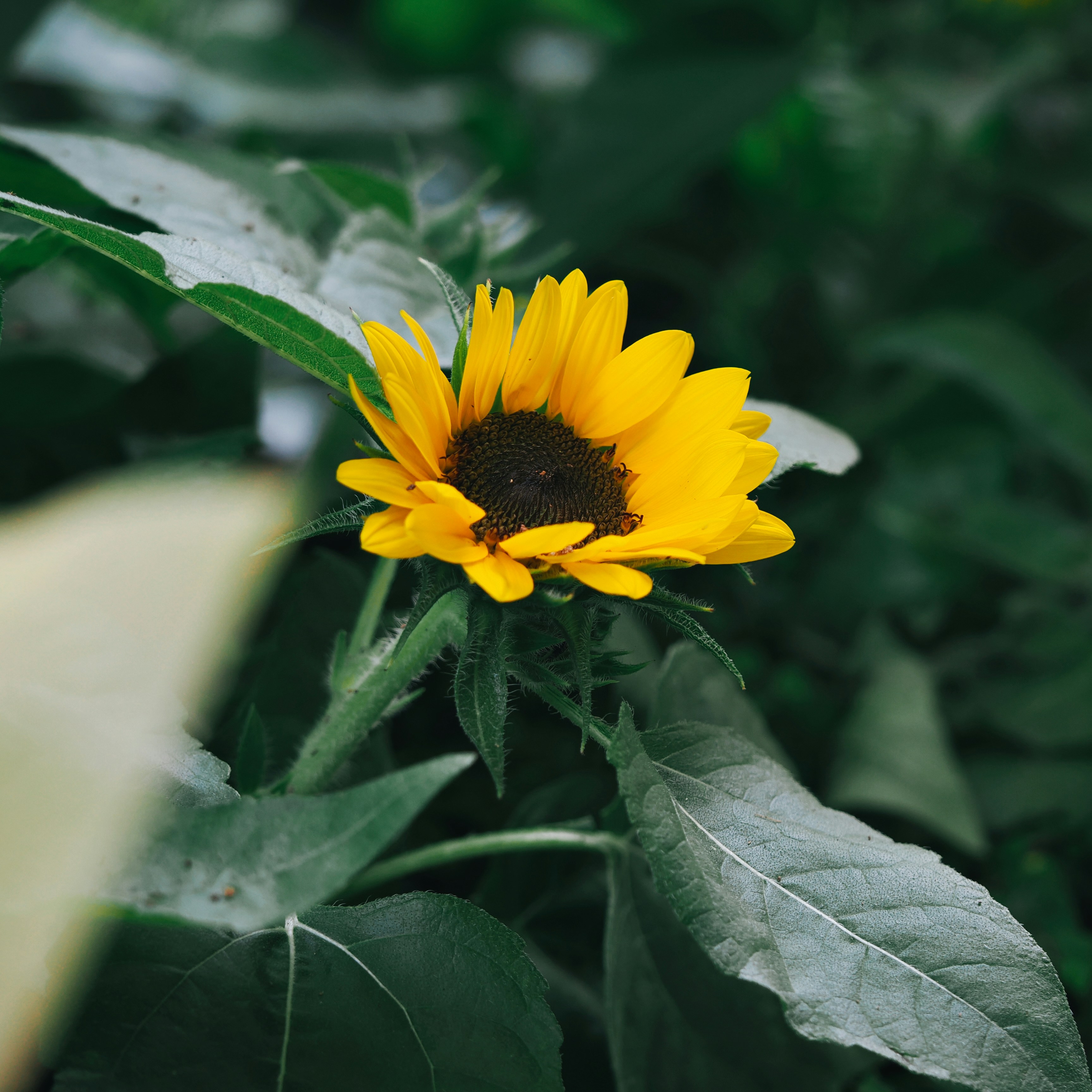 Photo by liliantruong2603