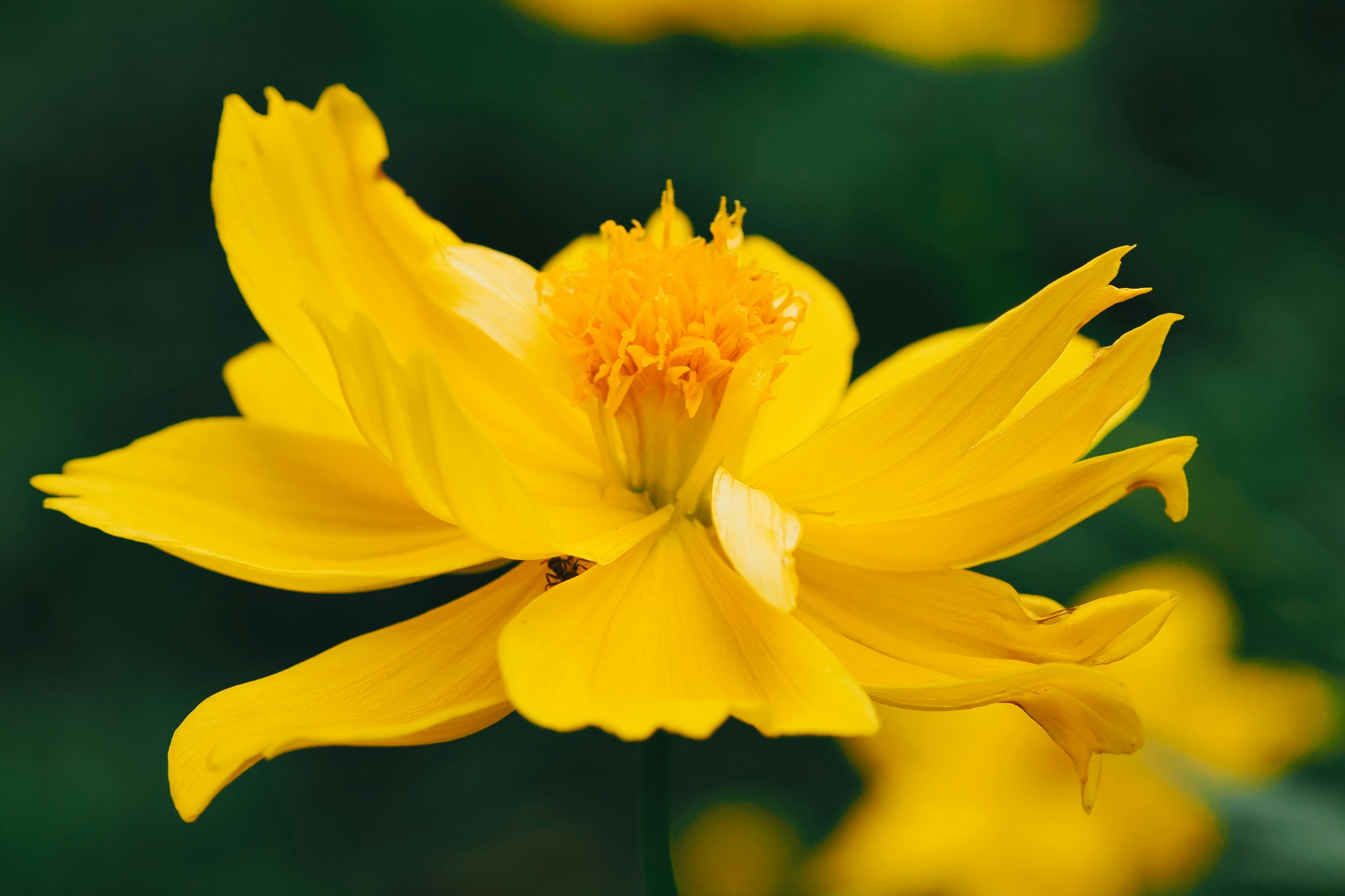 Photo by liliantruong2603