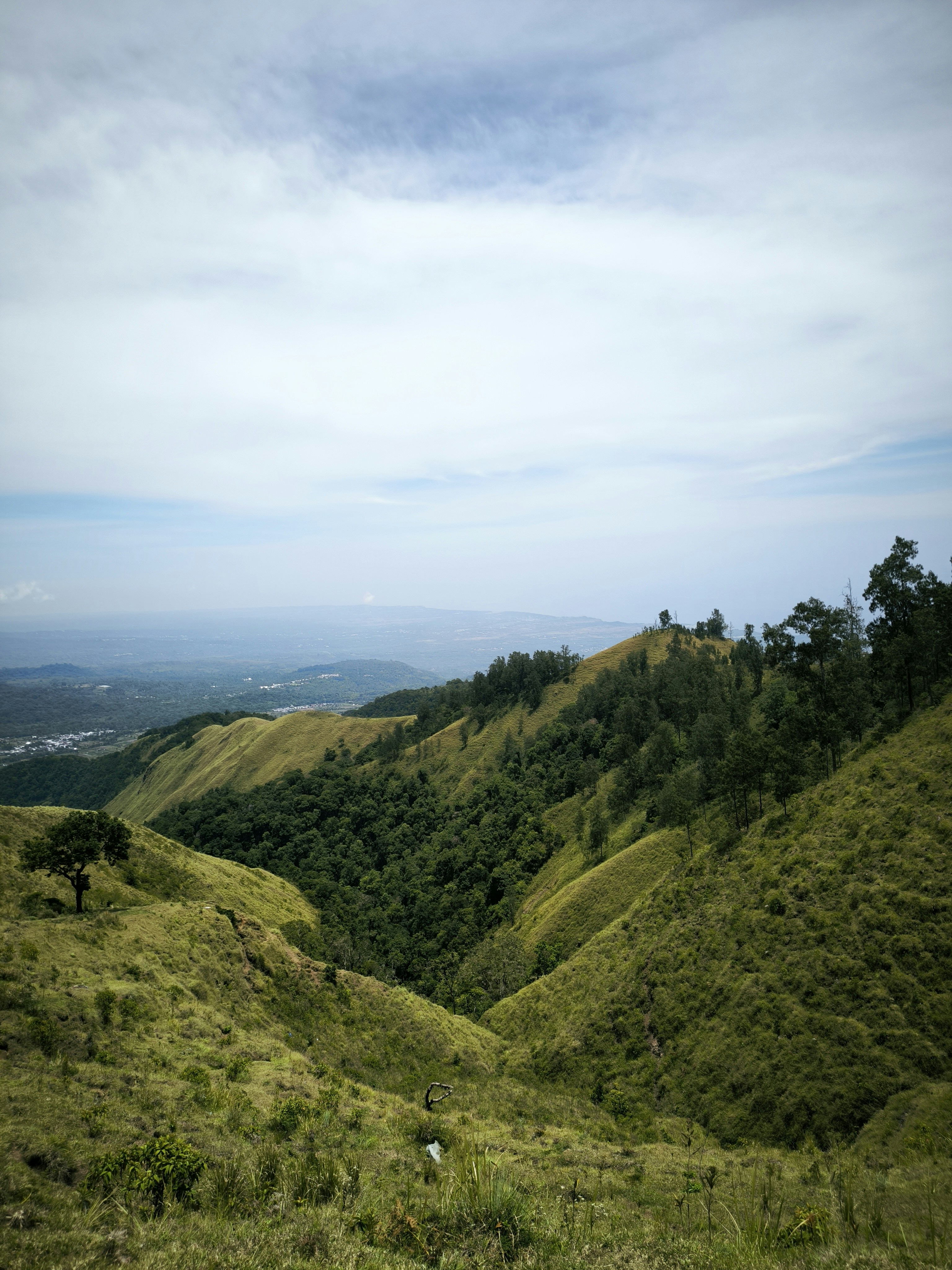 Photo by reniagustin