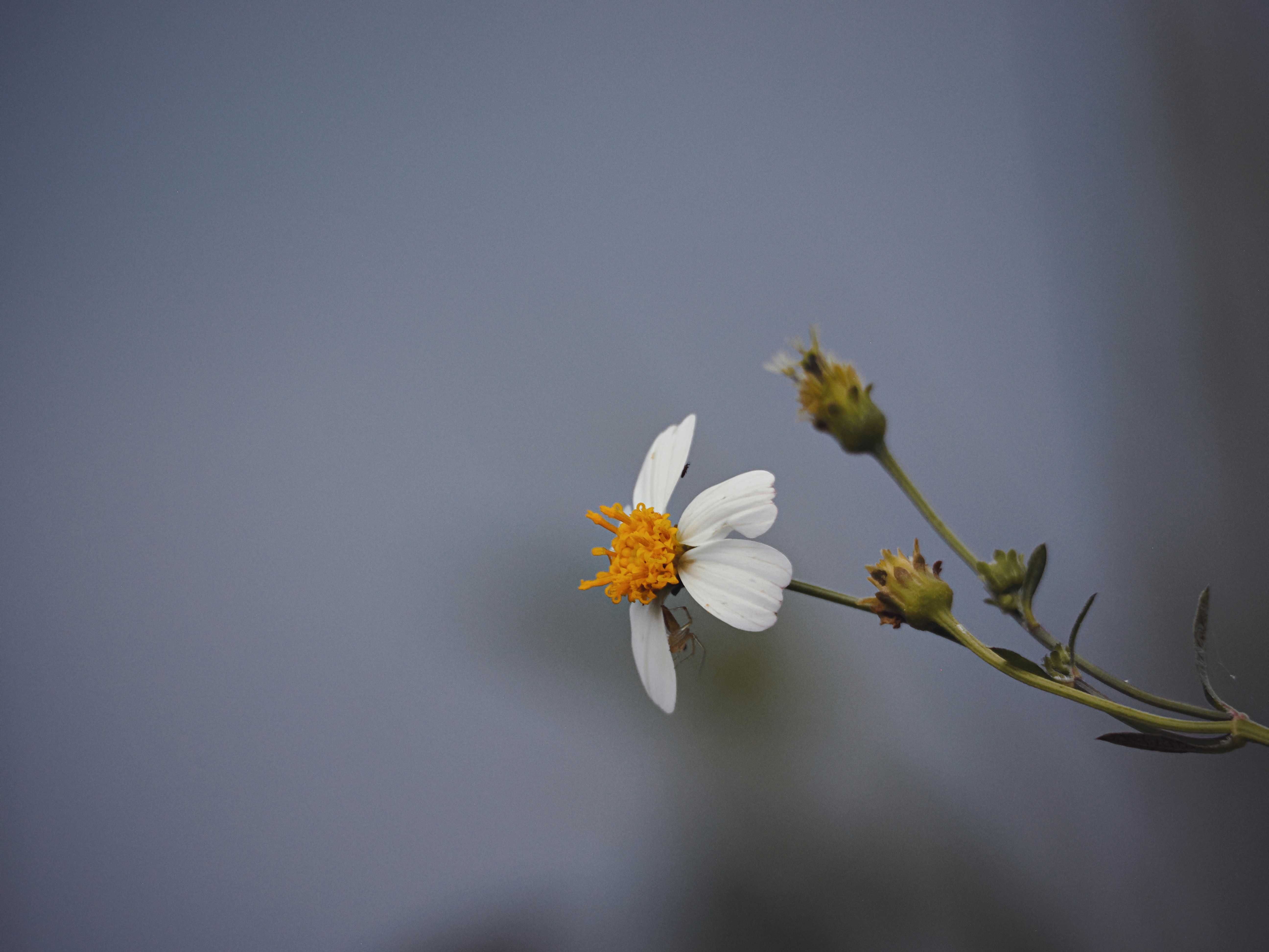 Photo by liliantruong2603