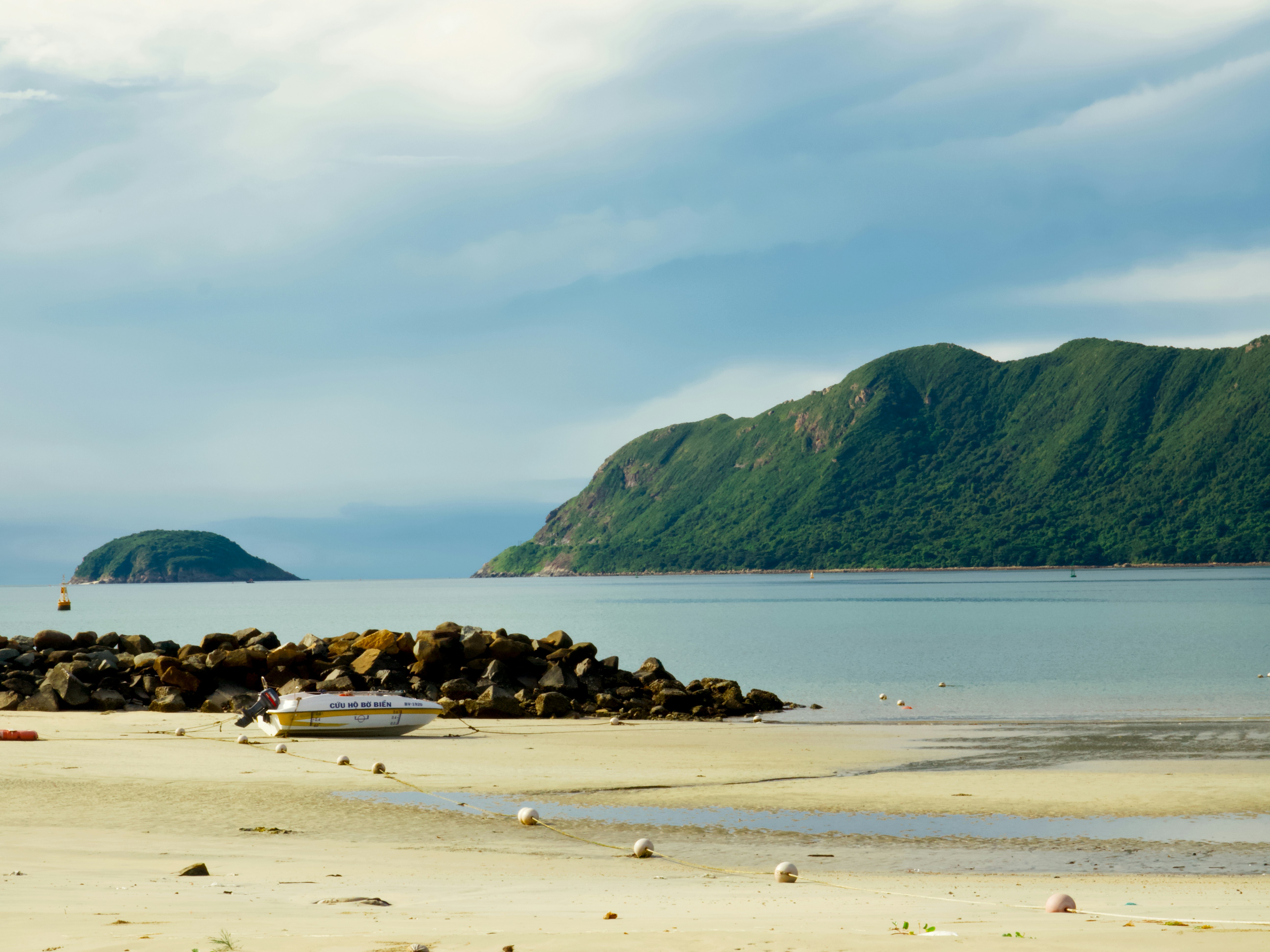 Photo by liliantruong2603