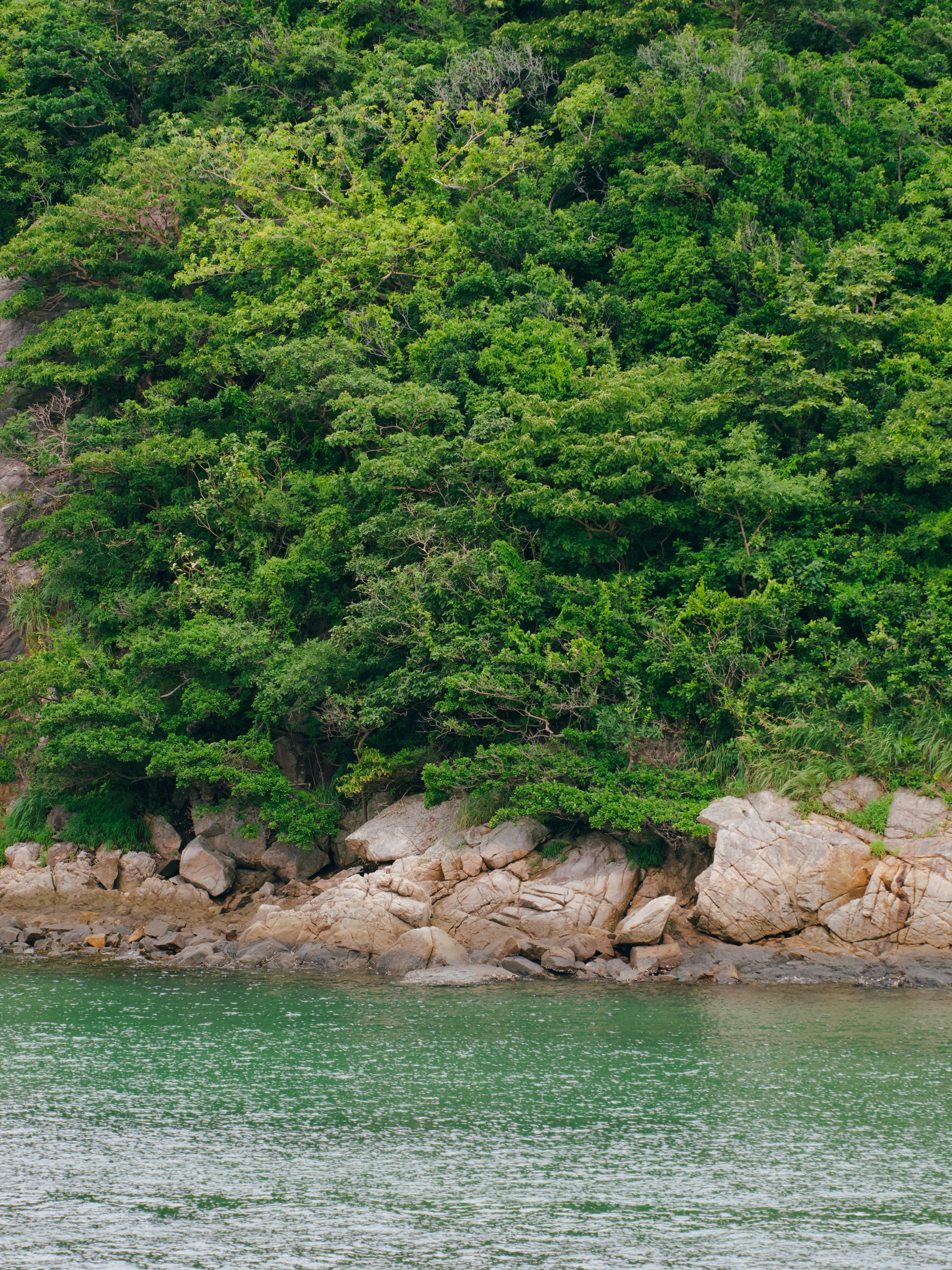 Photo by liliantruong2603